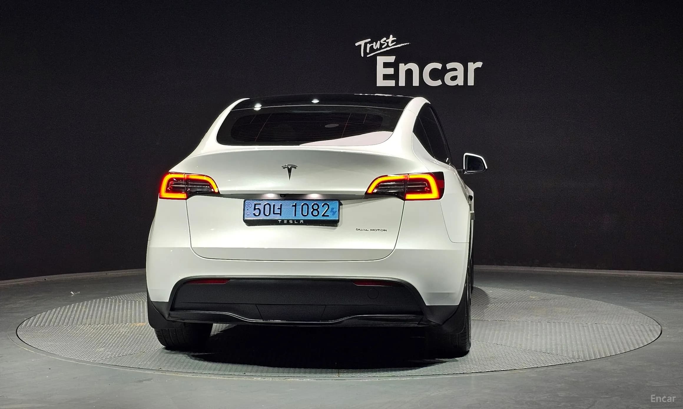 Model Y