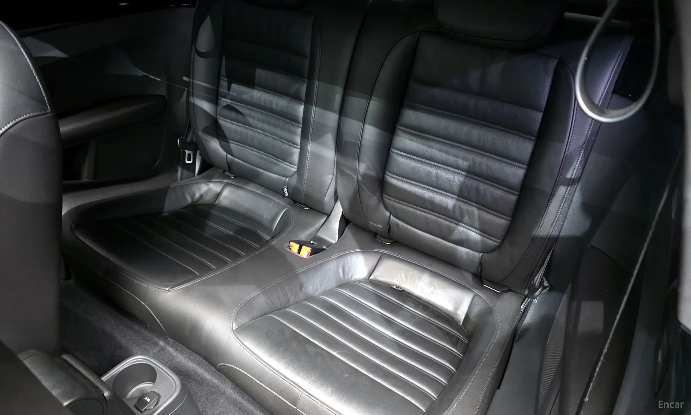 The Beetle