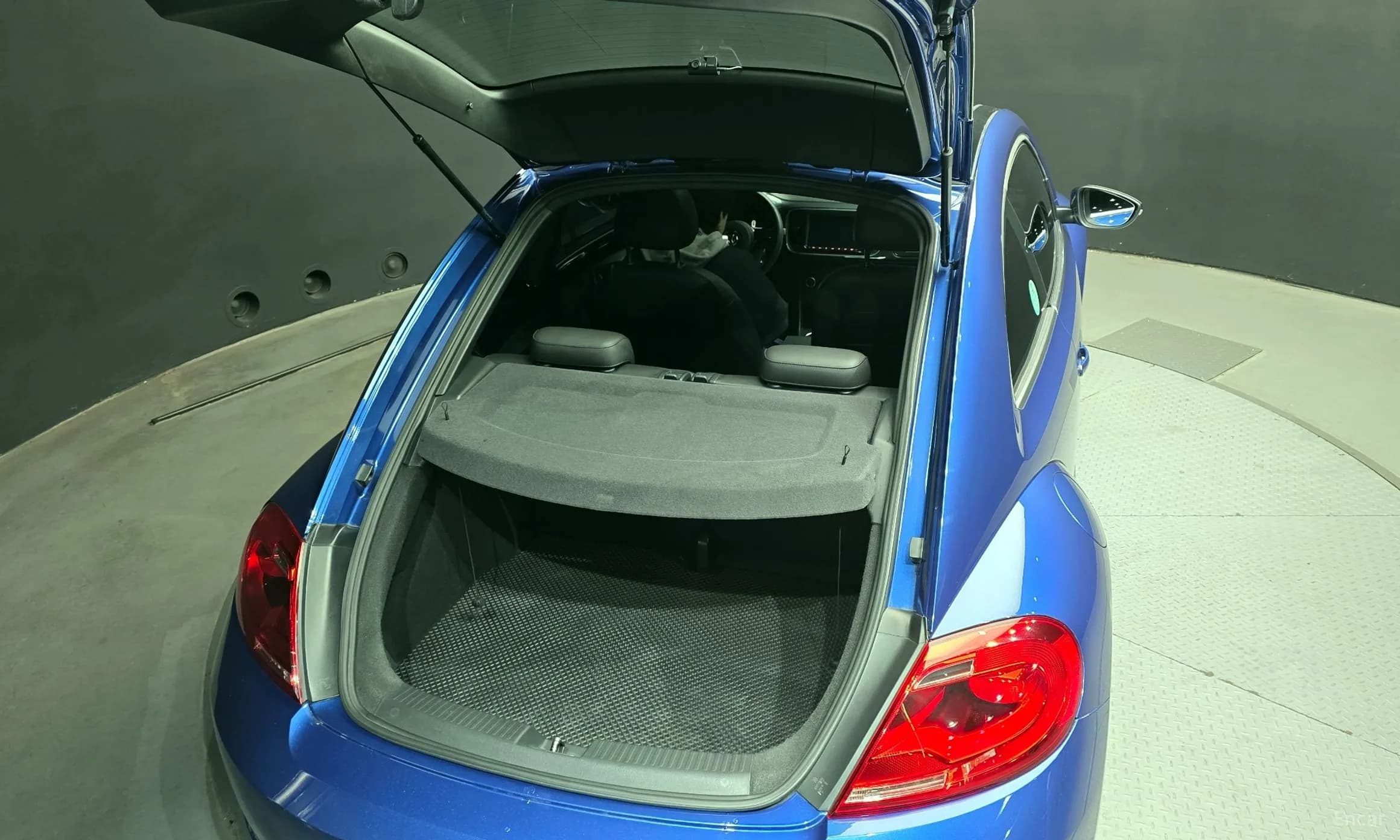 The Beetle
