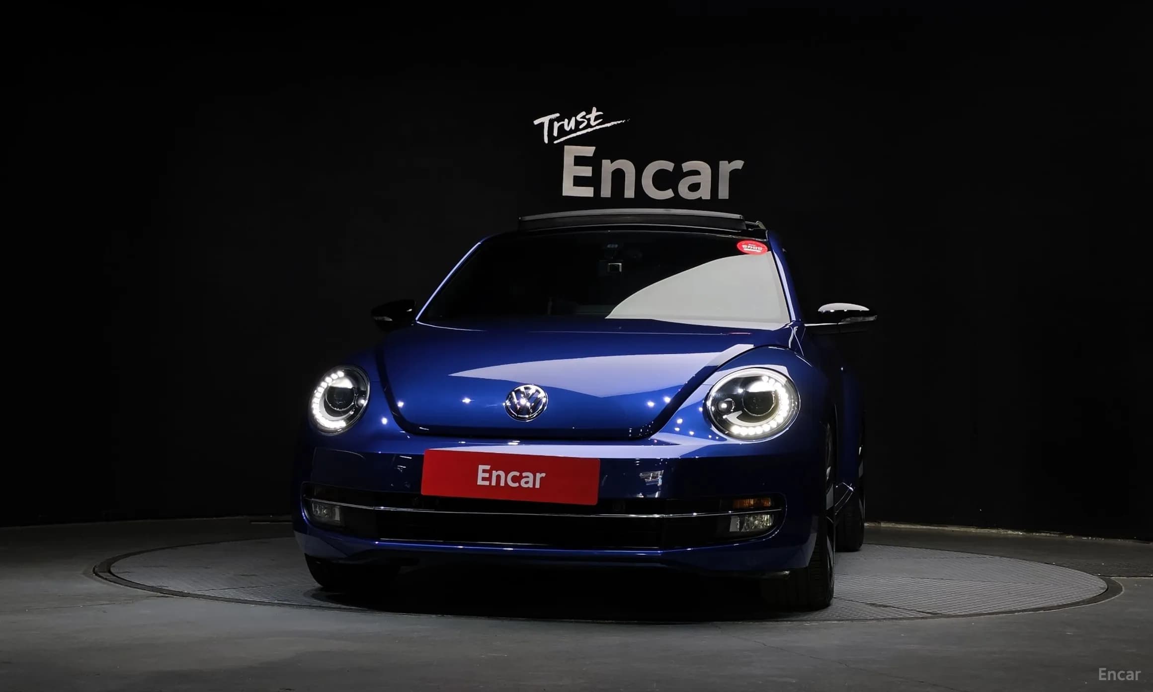 The Beetle