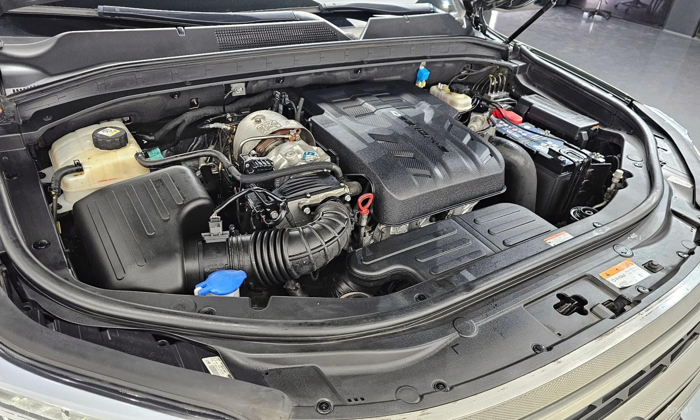 Rexton Sports
