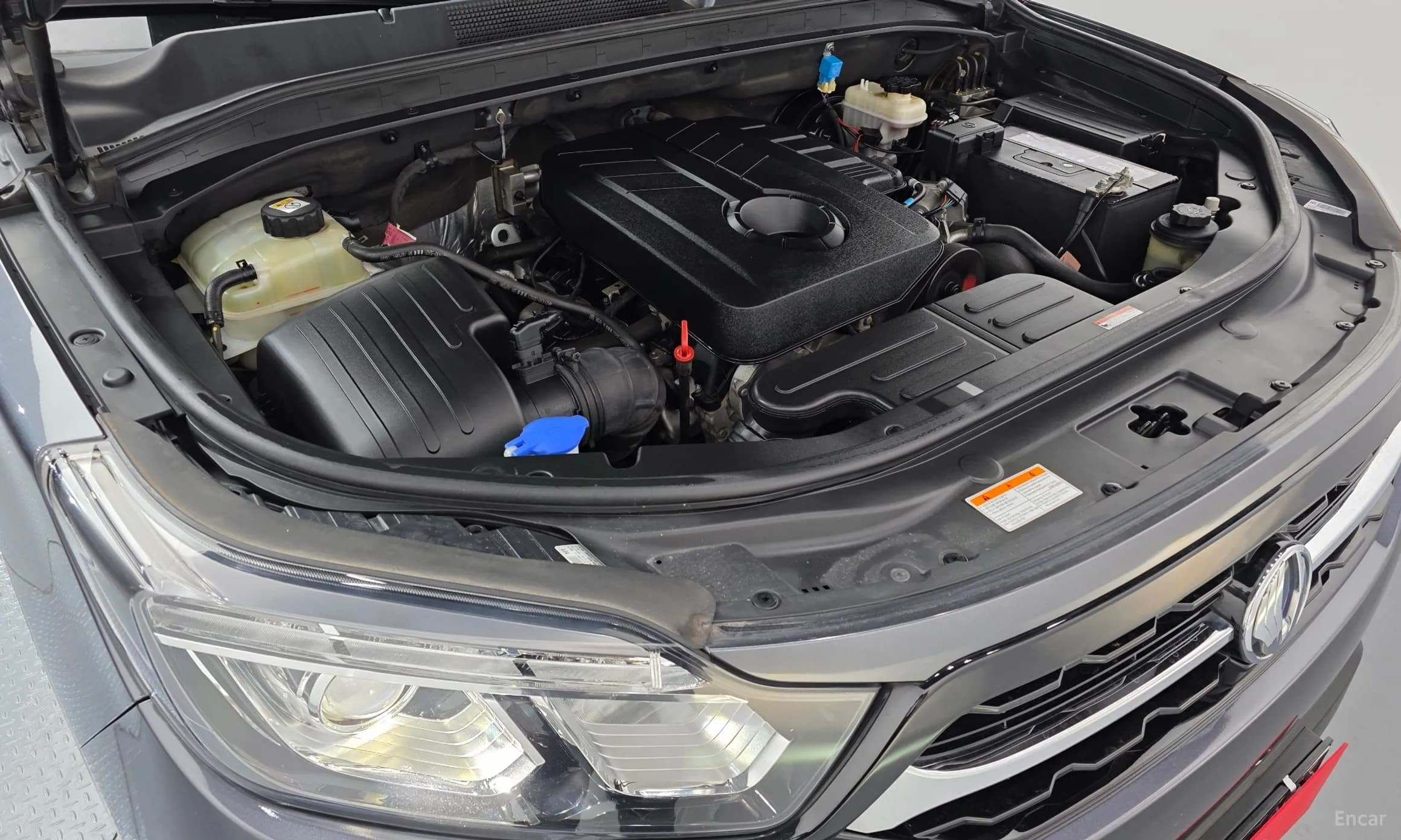 Rexton Sports