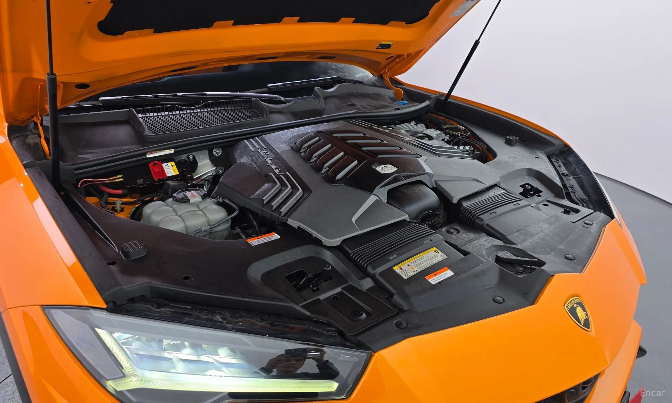 Urus