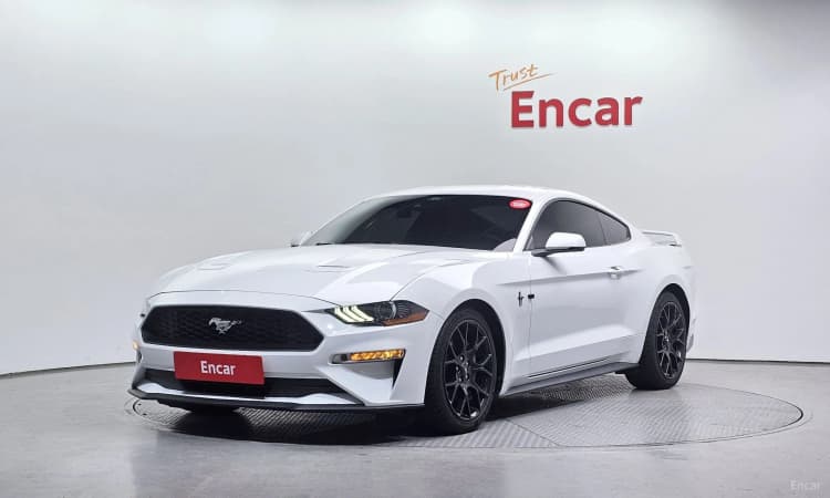 Mustang