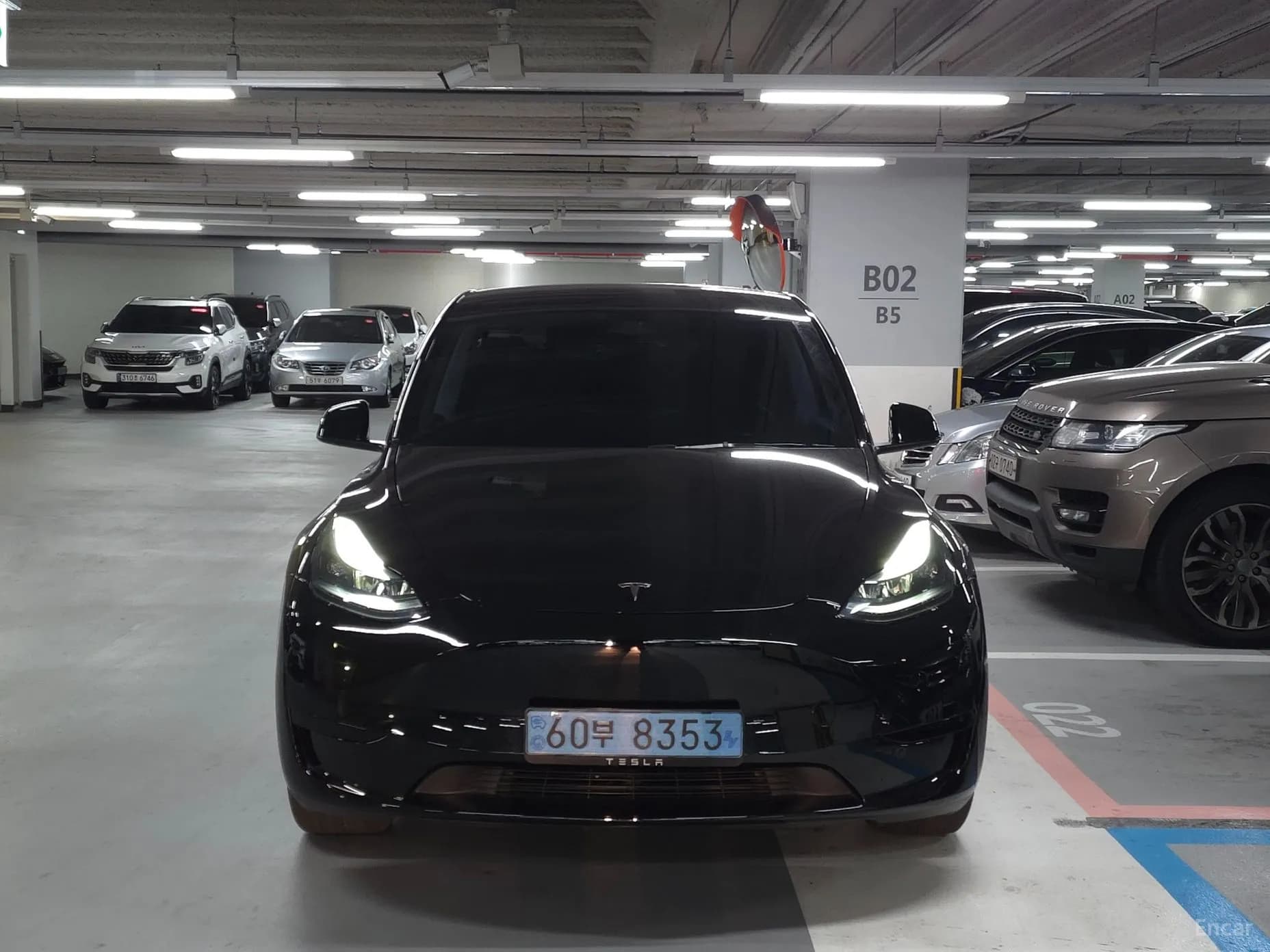 Model Y