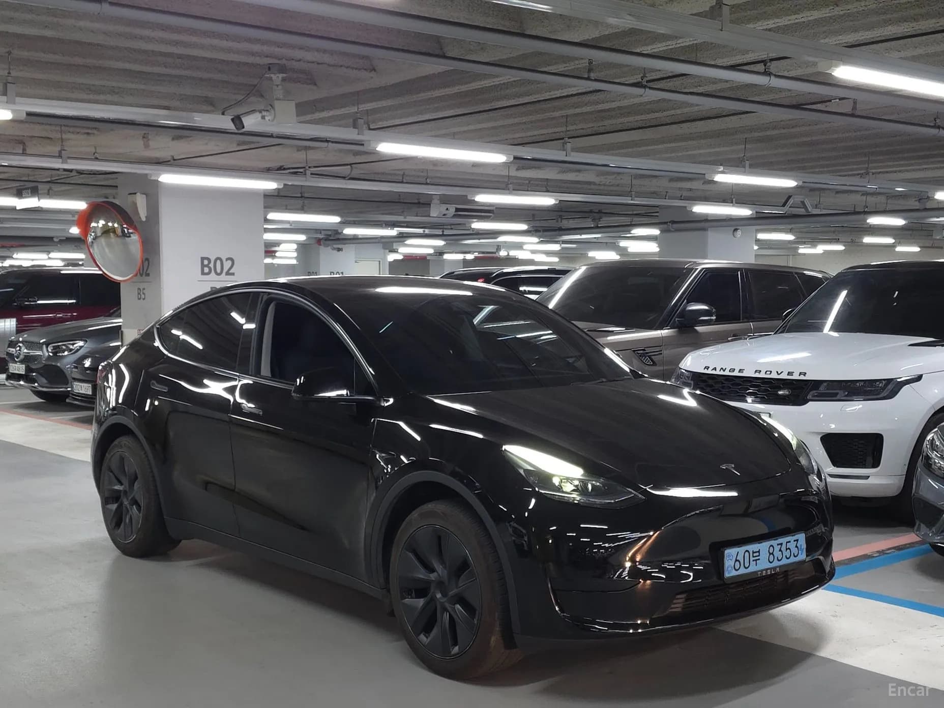 Model Y