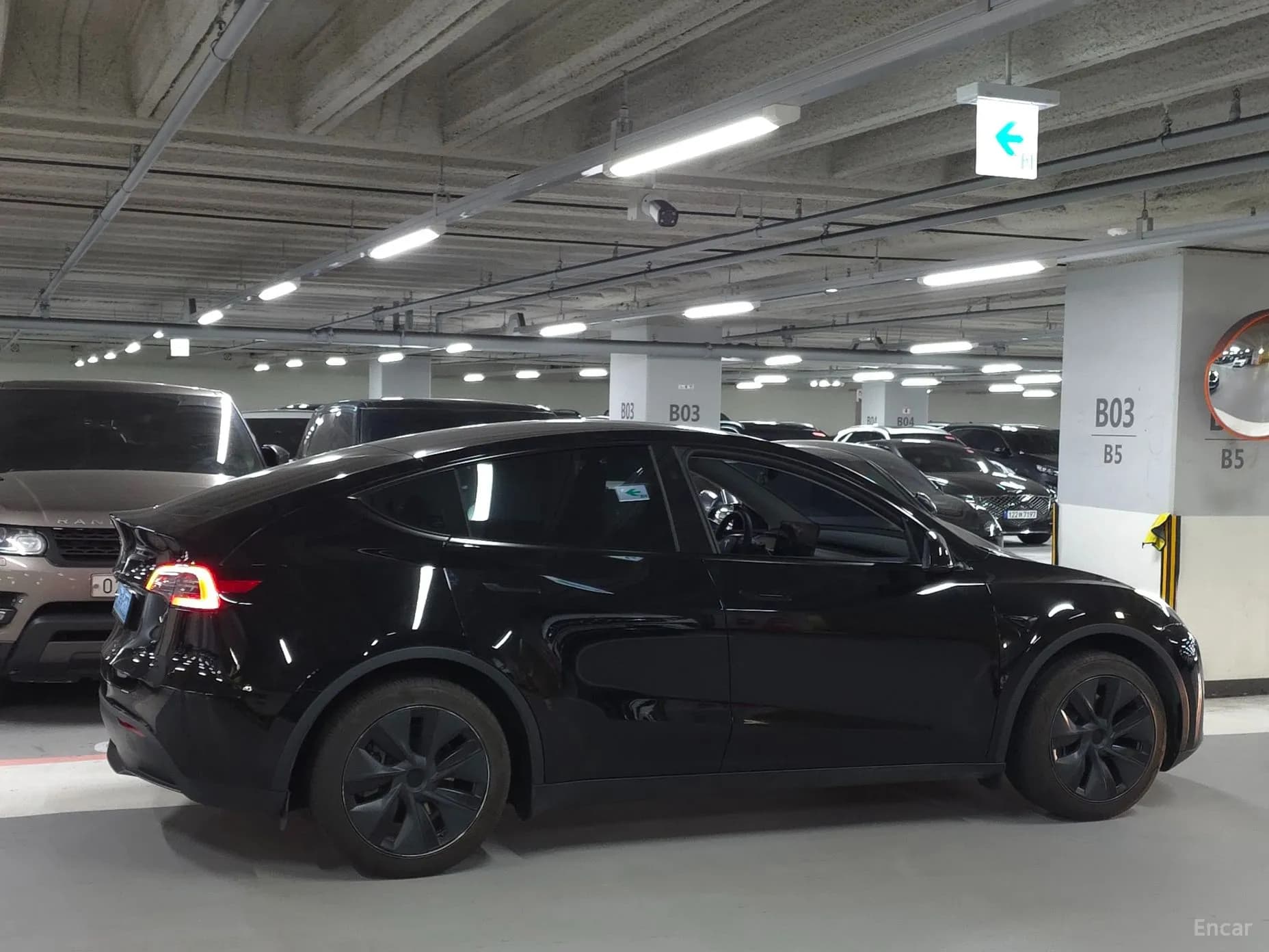 Model Y