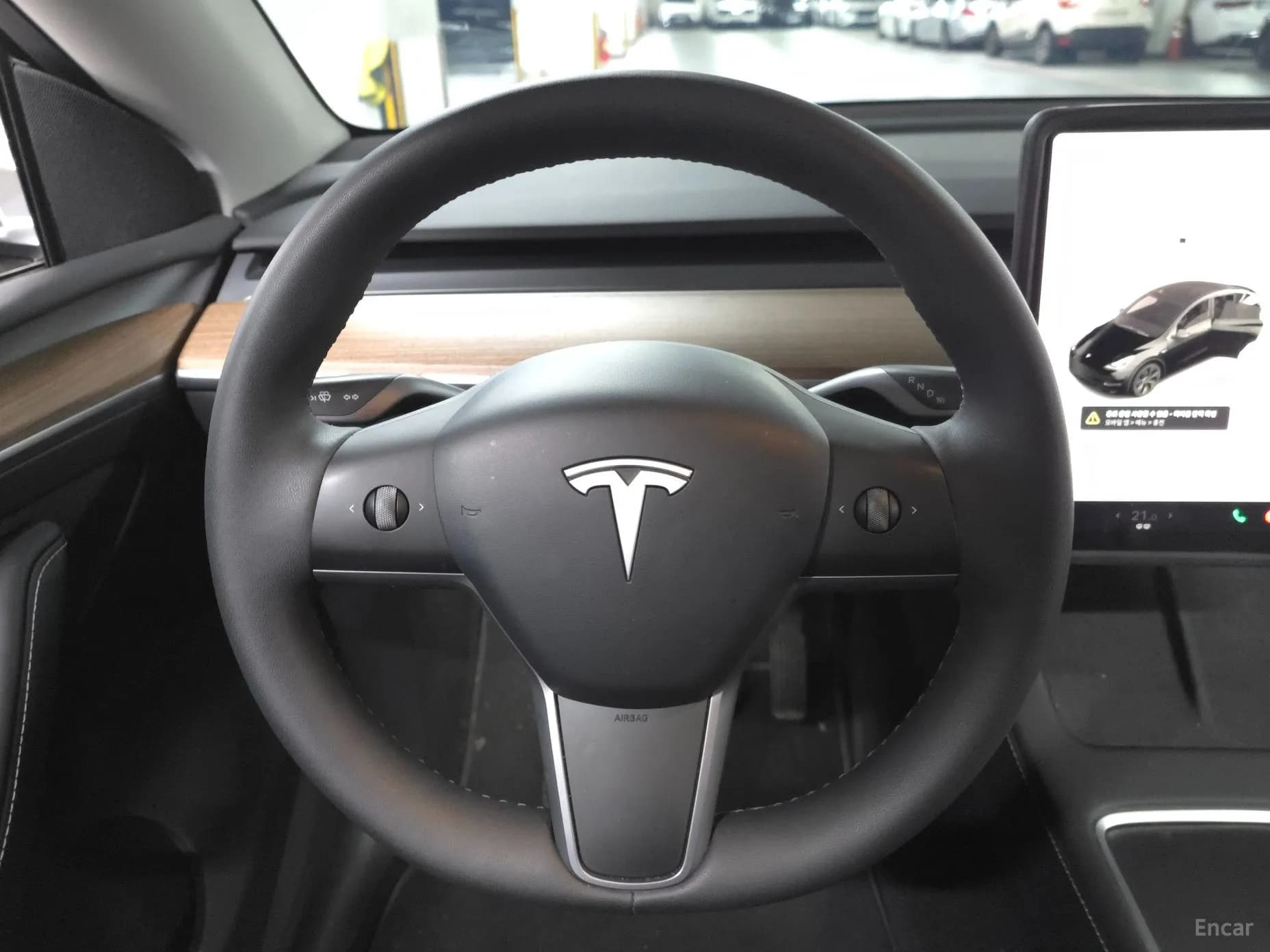 Model Y