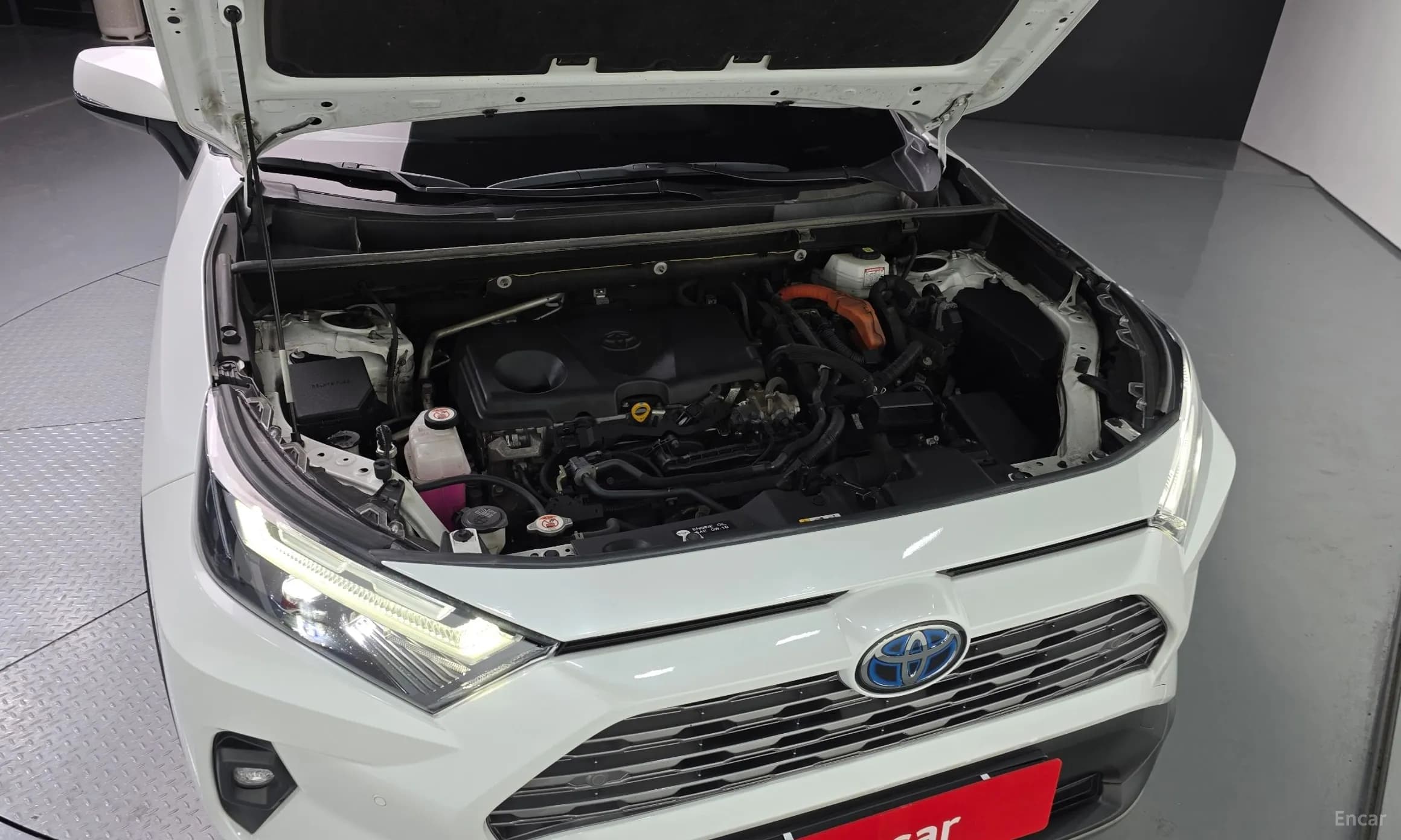 RAV4 5th Generation