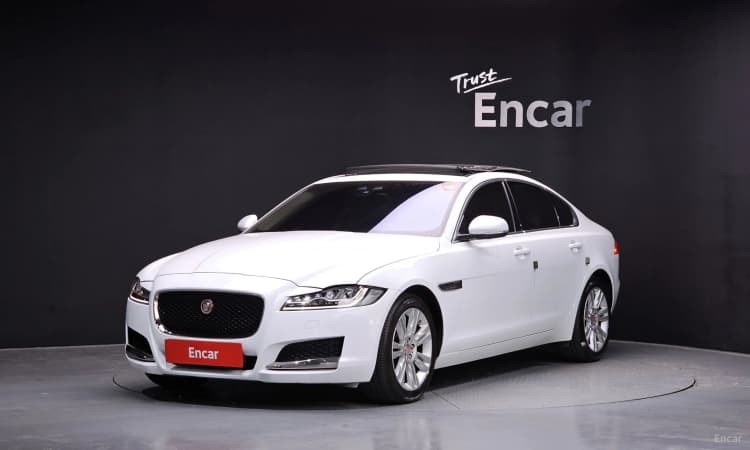 XF (x260)