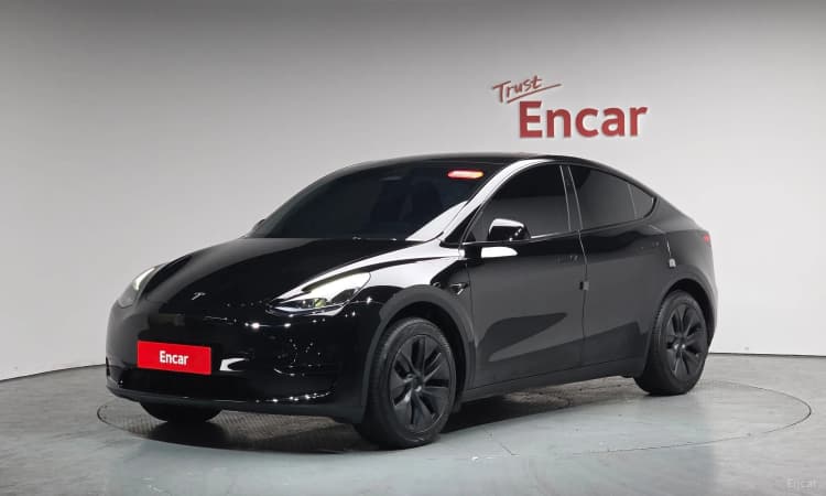 Model Y