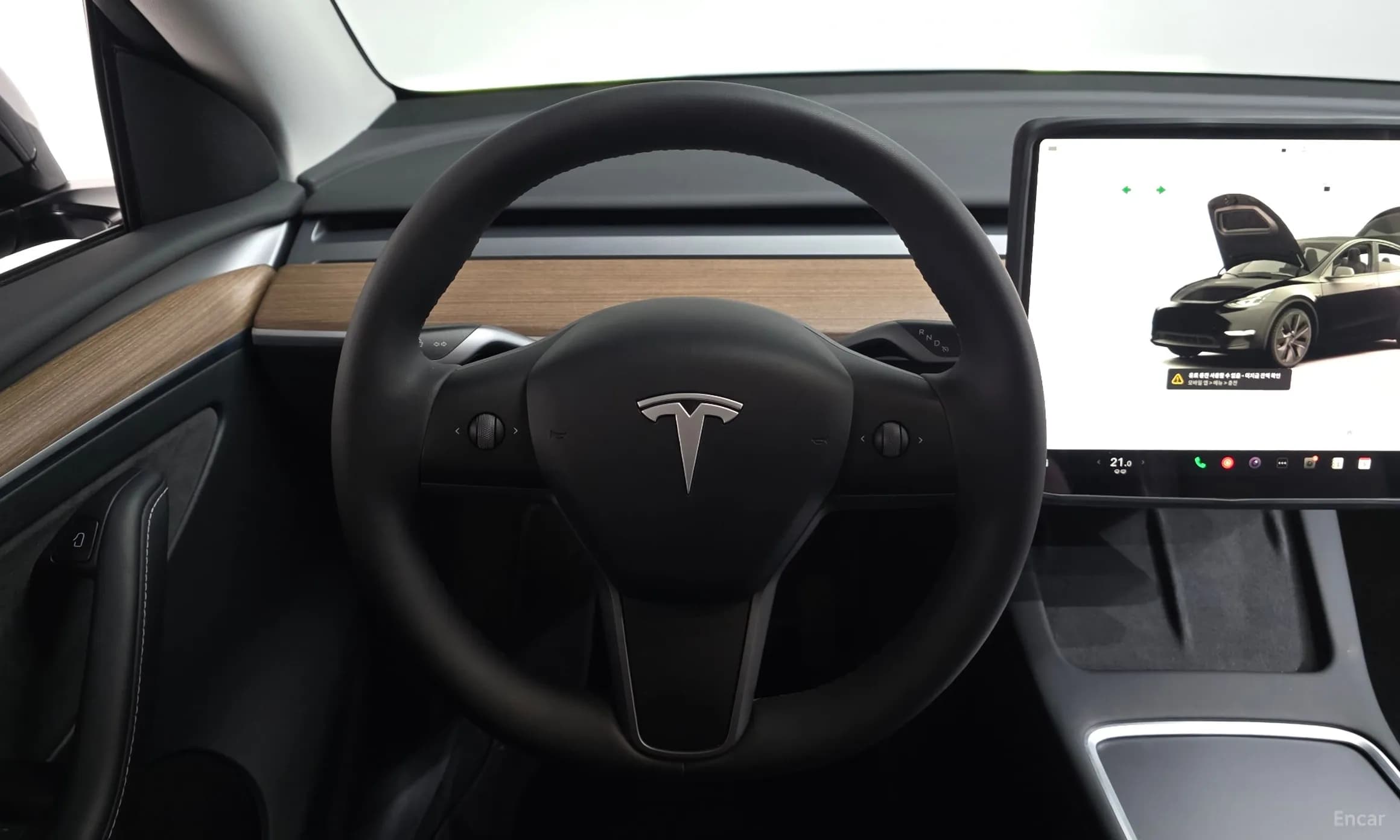 Model Y