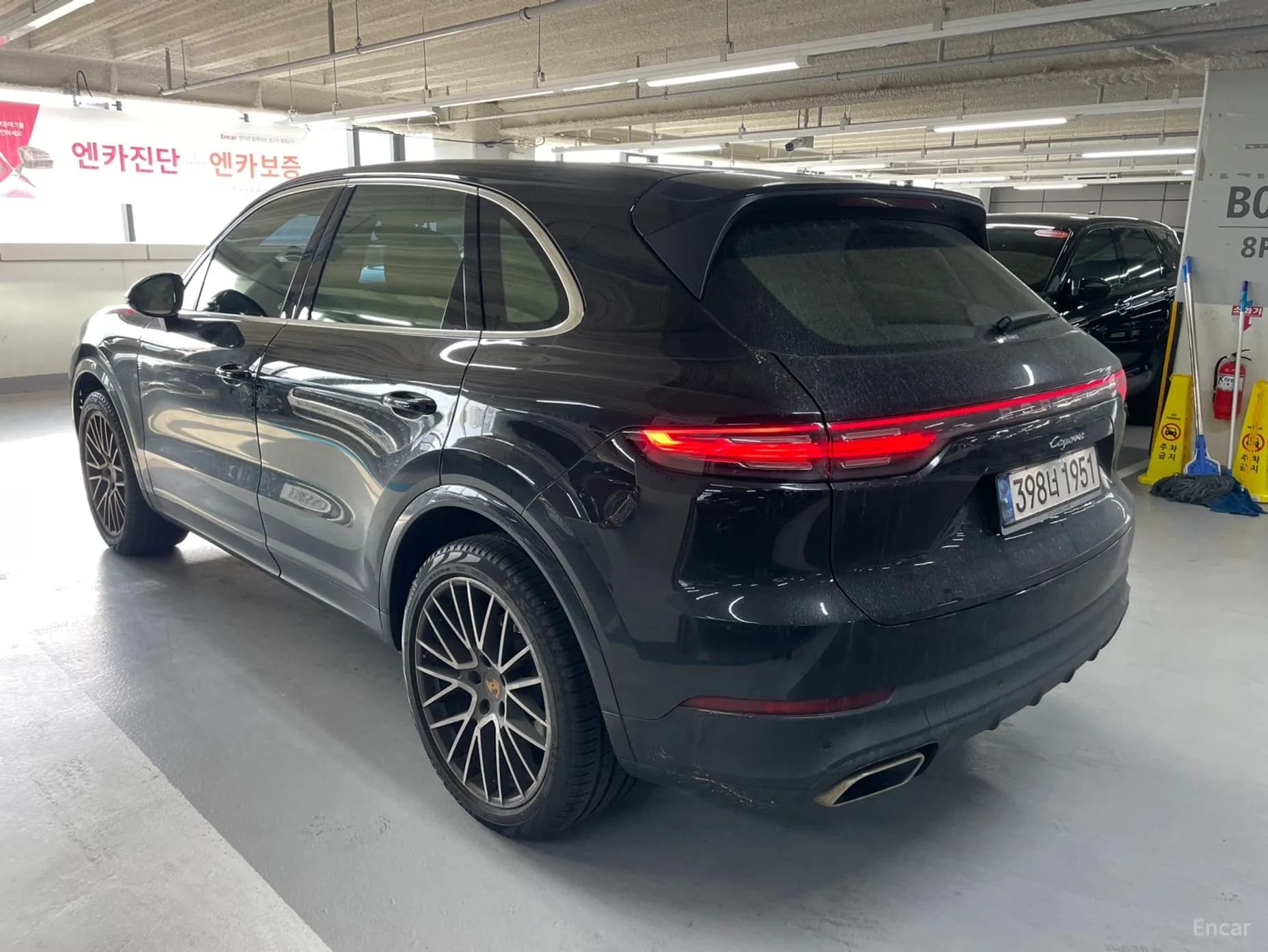 Cayenne (PO536)
