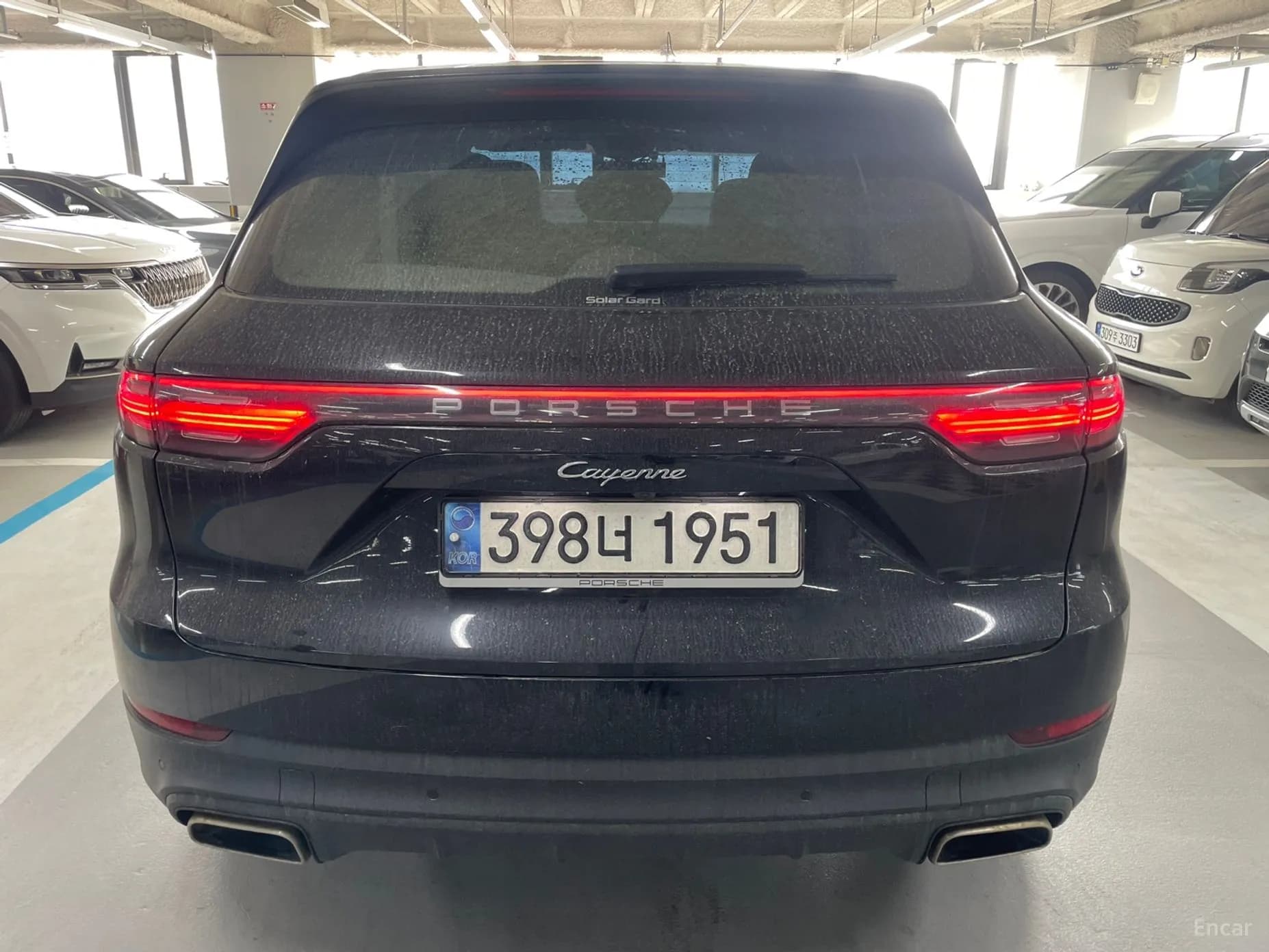Cayenne (PO536)