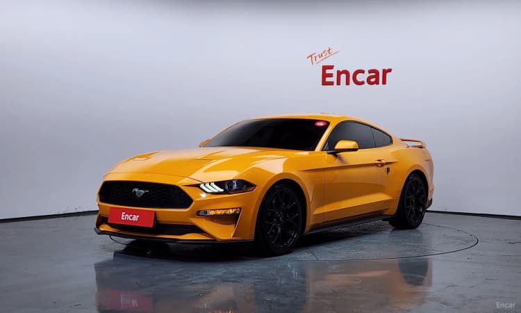 Mustang