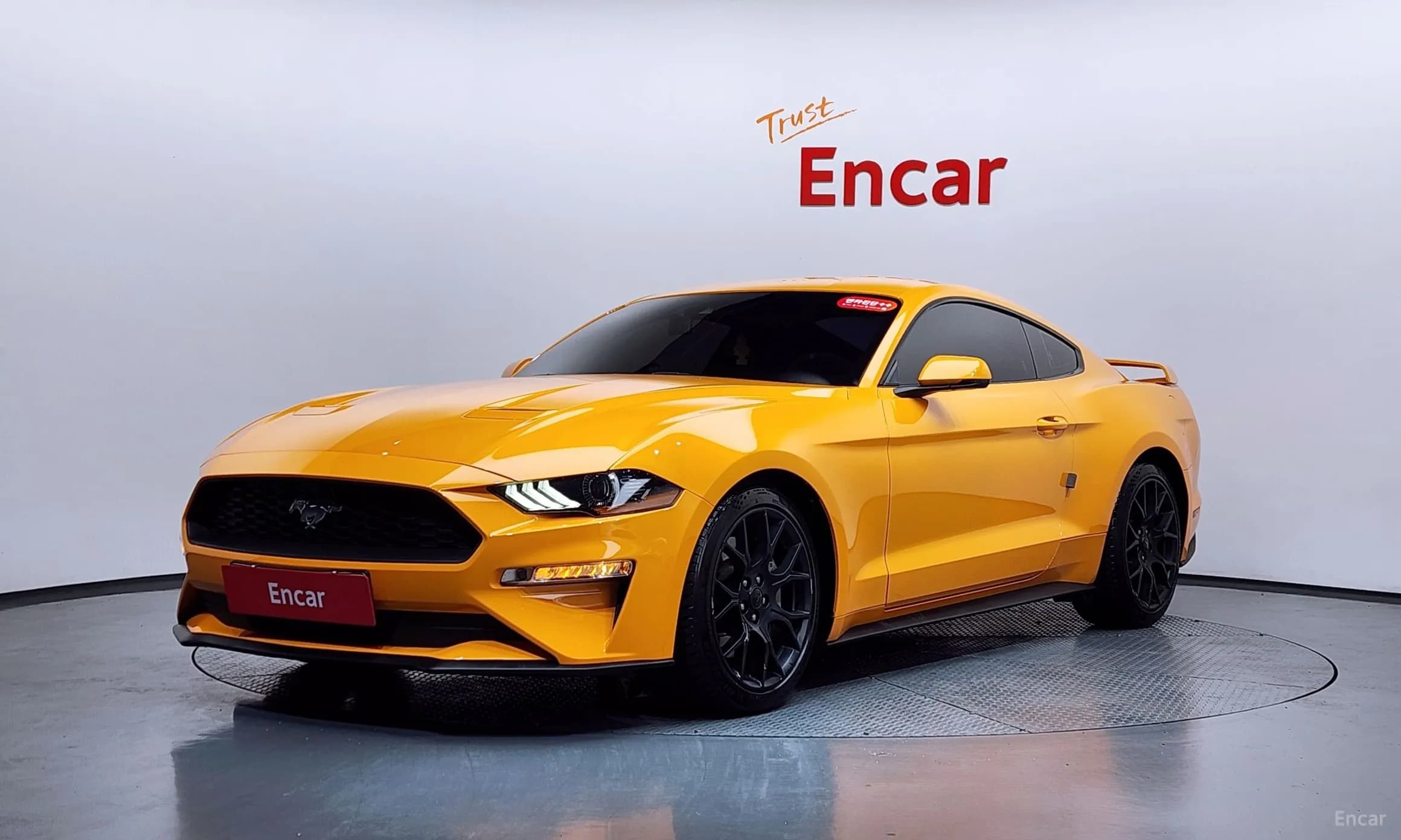 Mustang