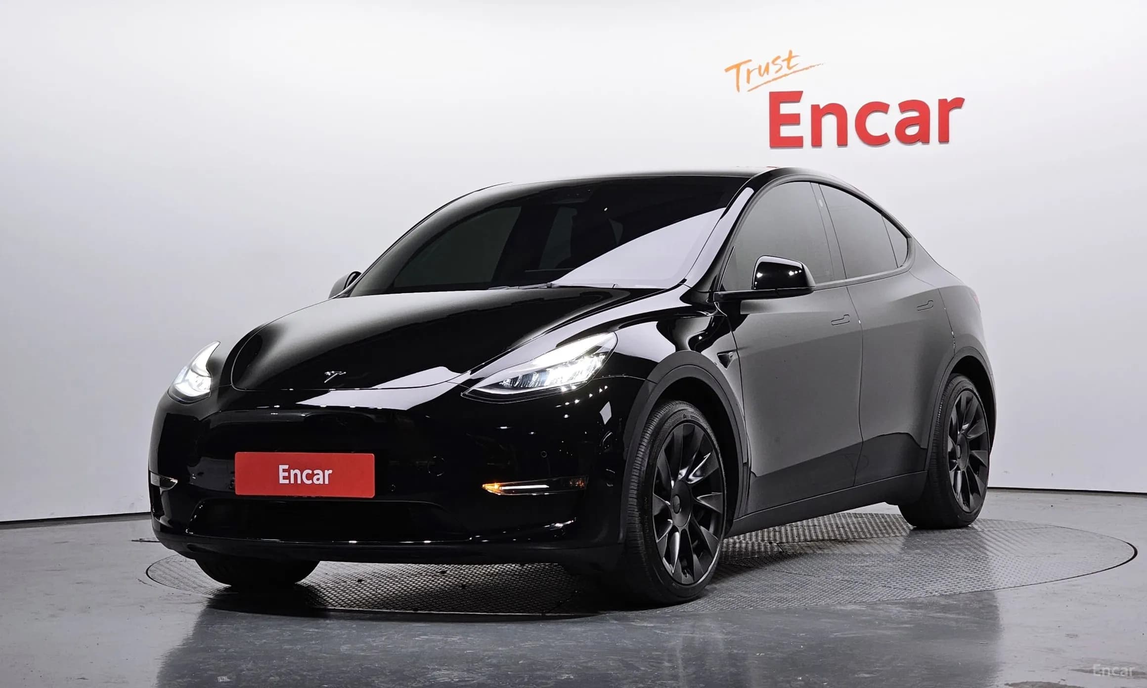 Model Y