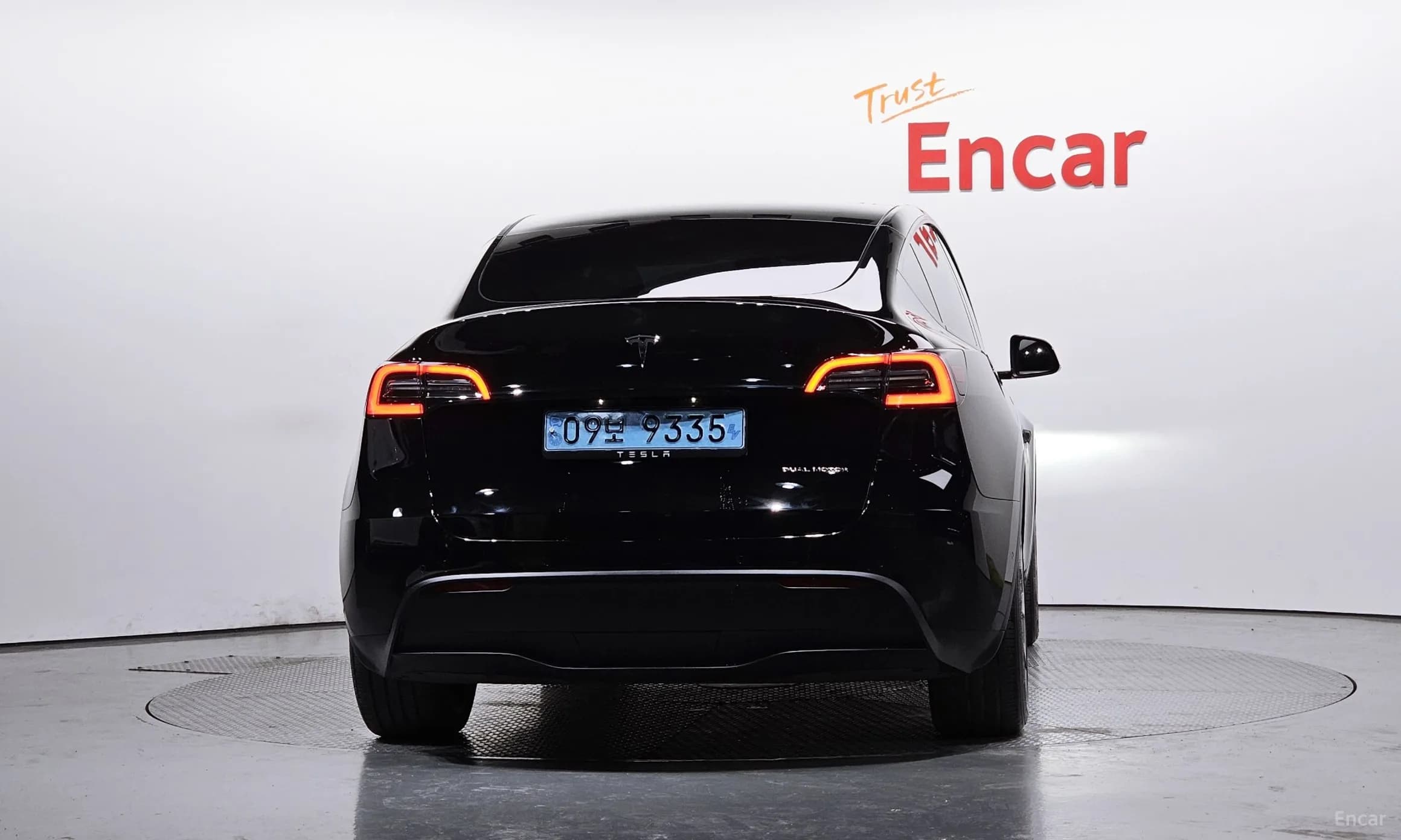Model Y