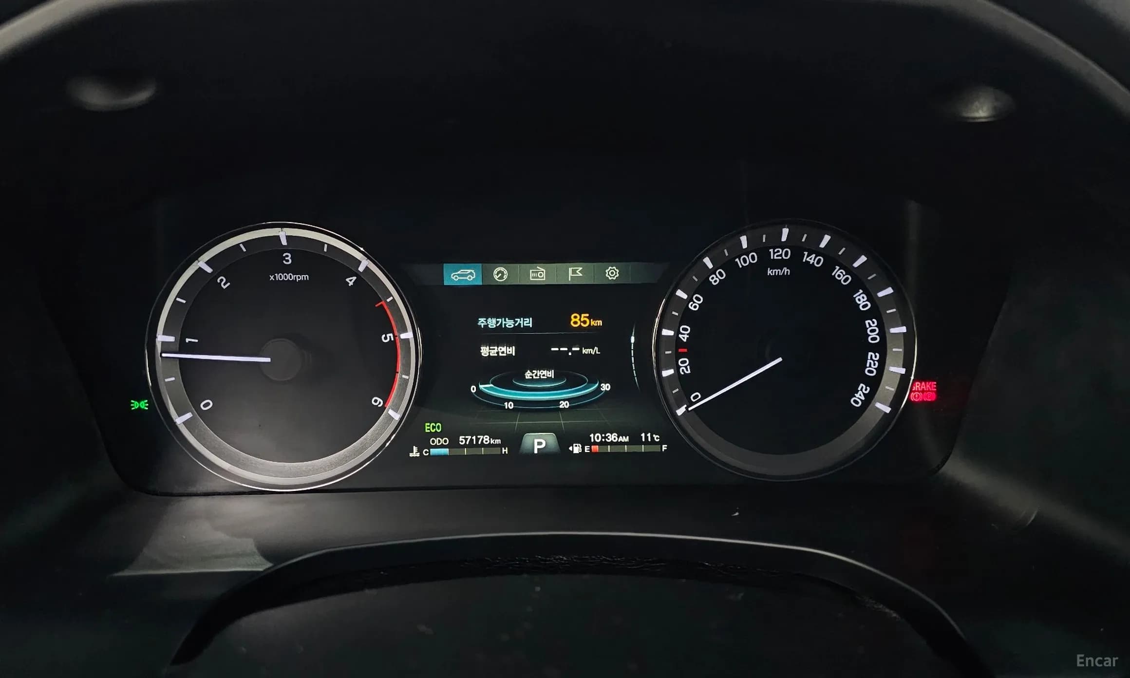 Rexton Sports