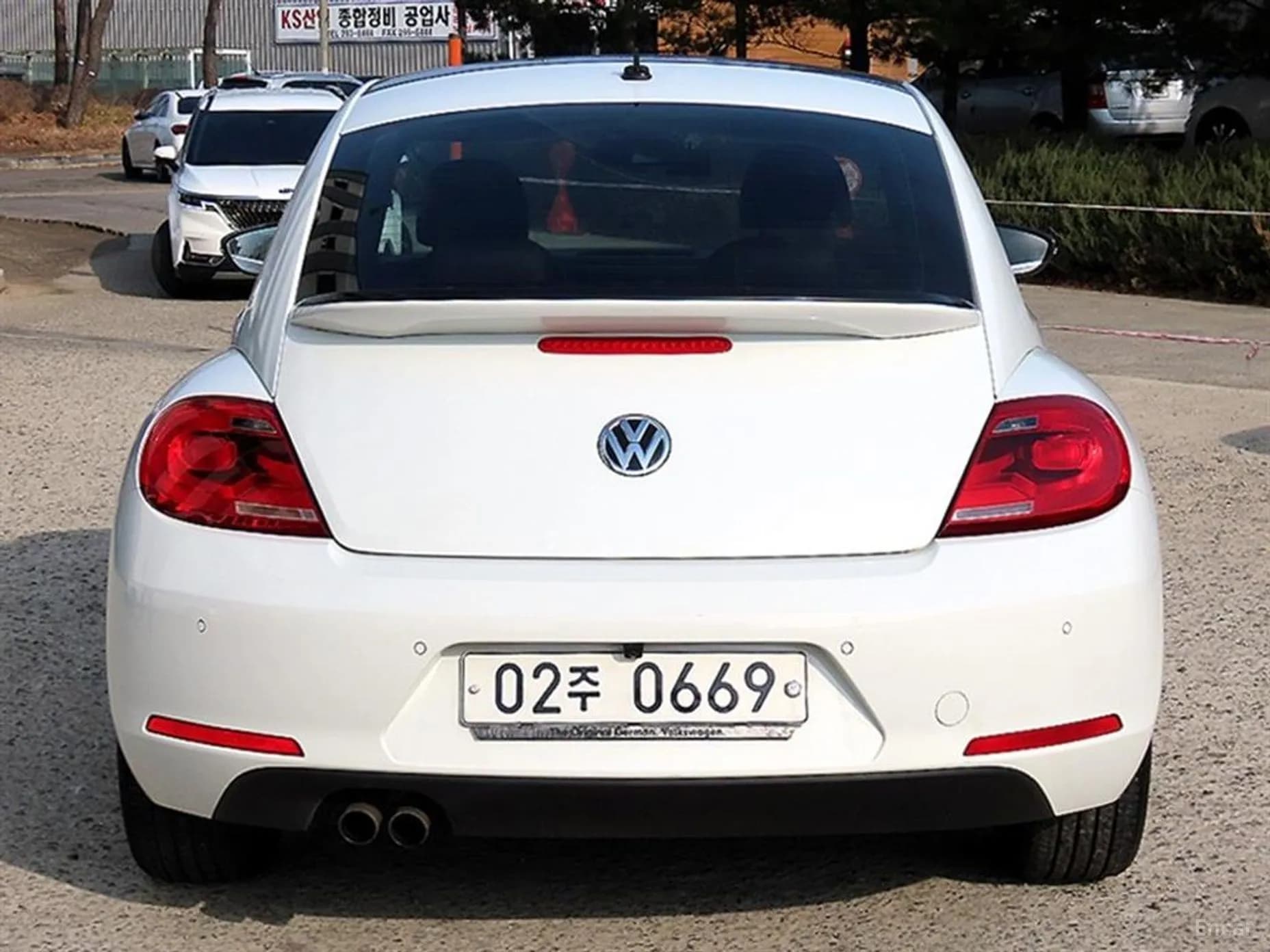 The Beetle