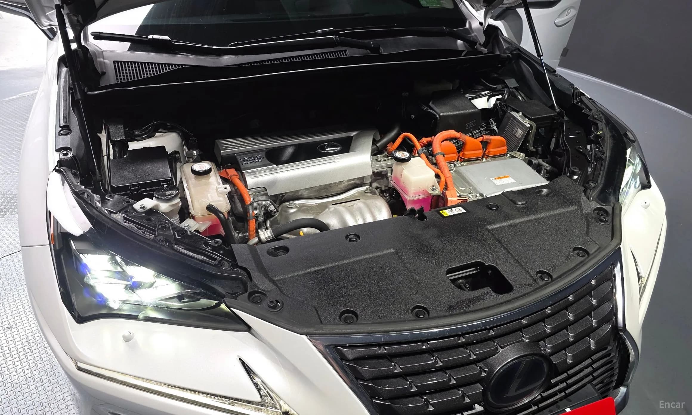 NX300h