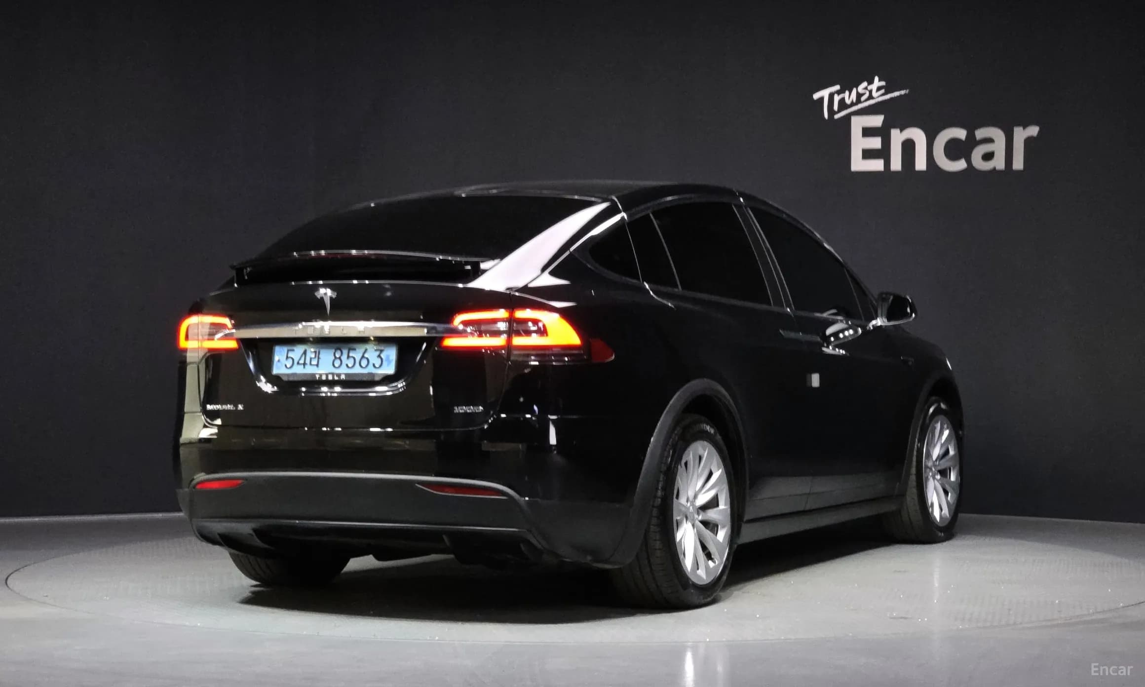 Model X