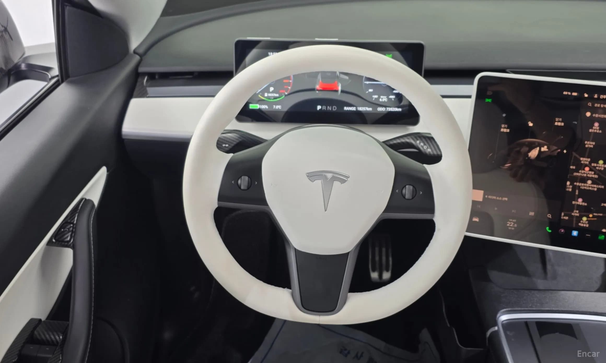 Model Y