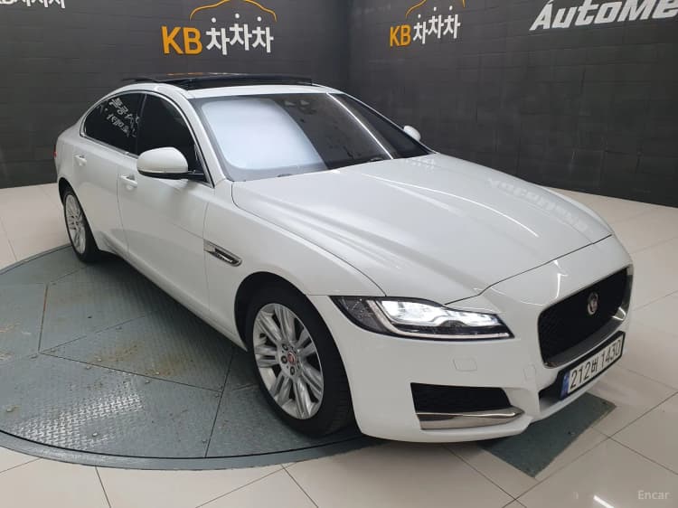 XF (x260)