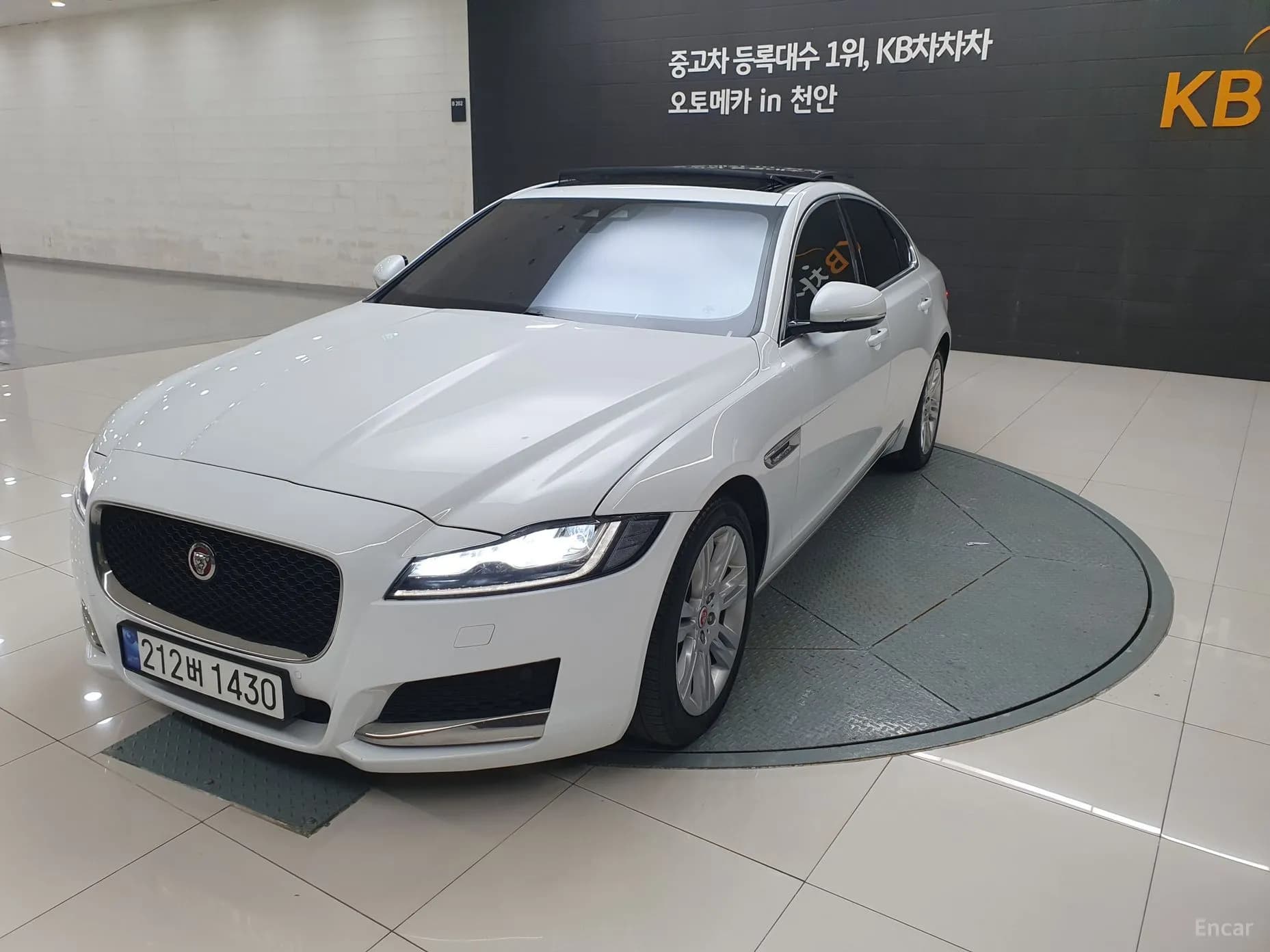 XF (x260)