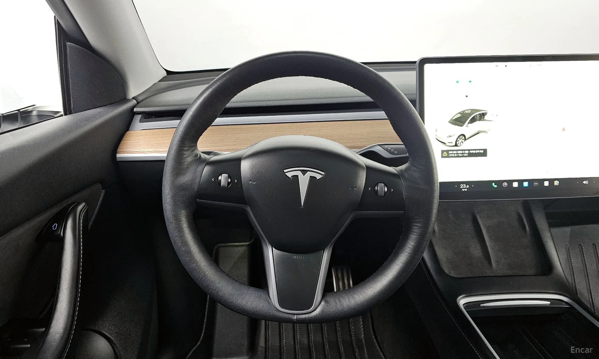 Model Y