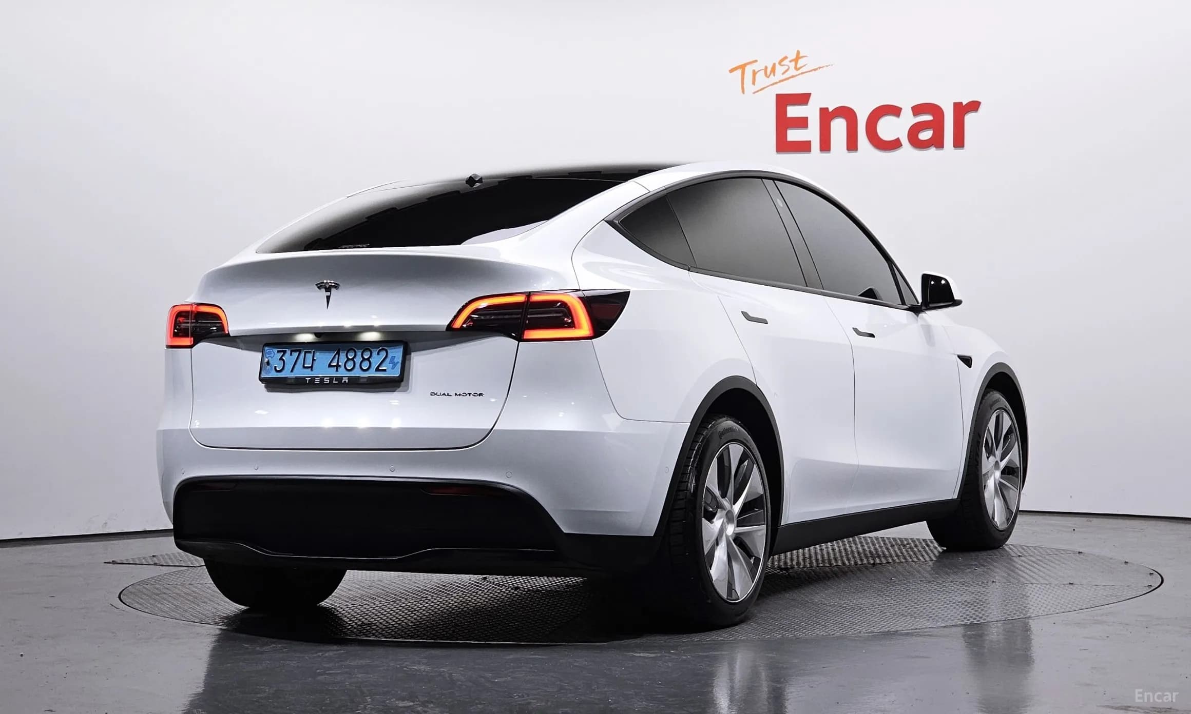 Model Y