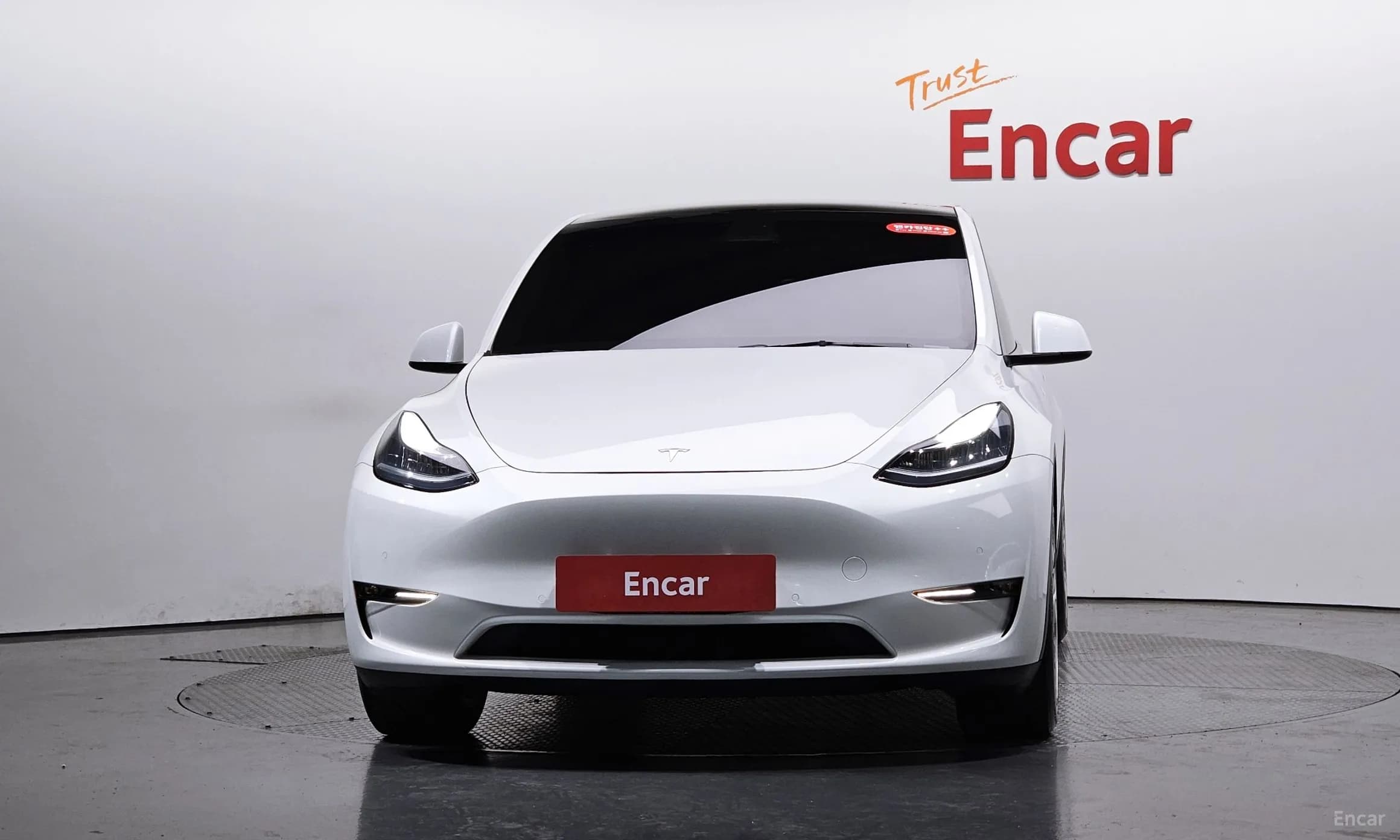 Model Y