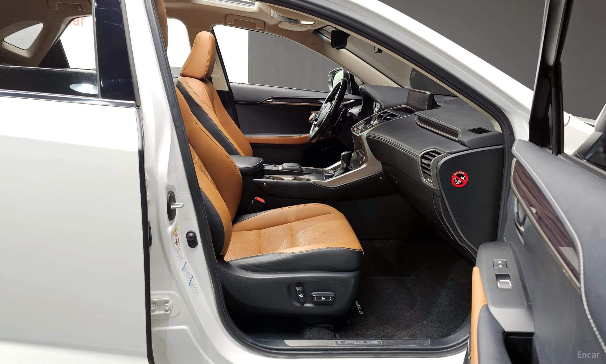 NX300h