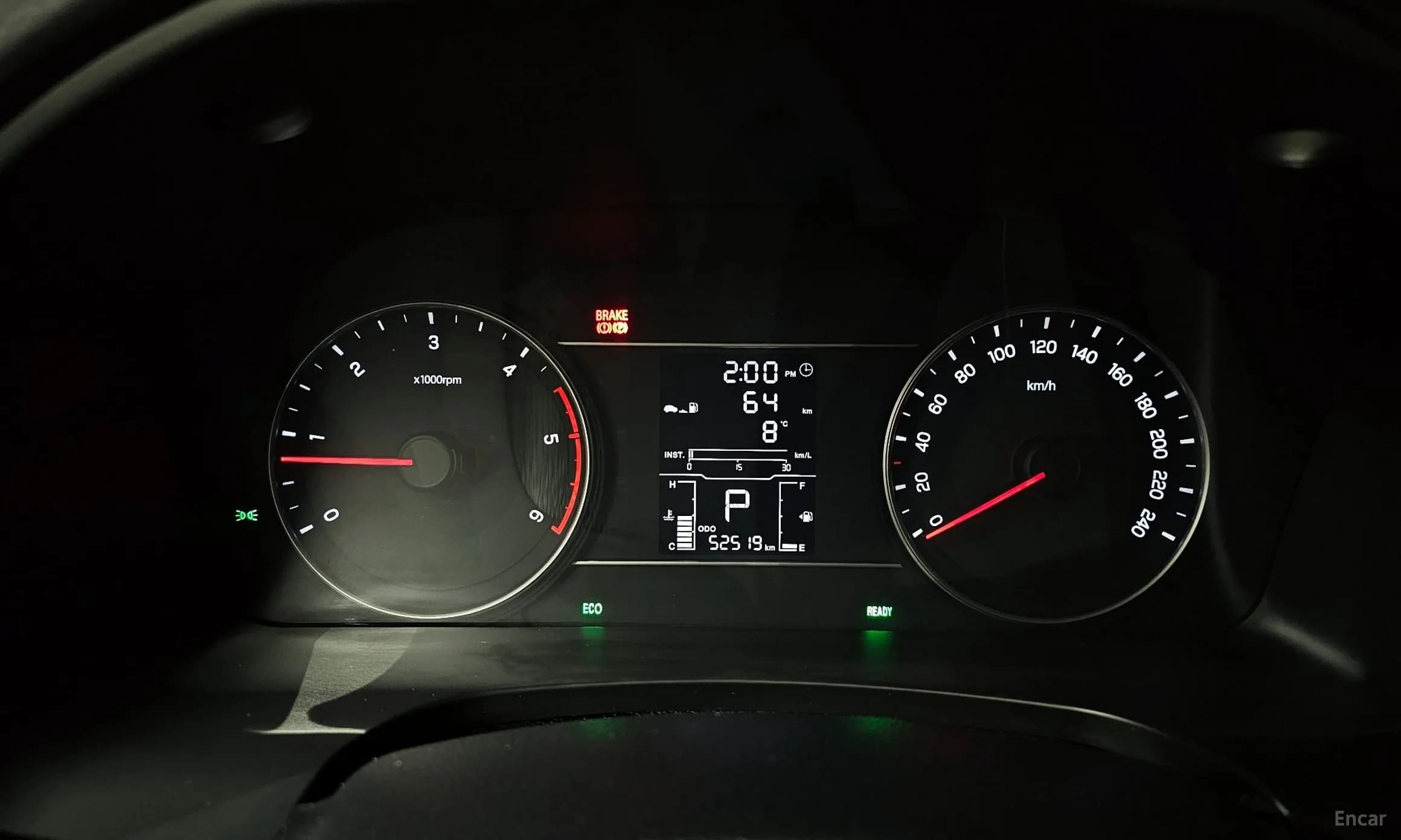 Rexton Sports