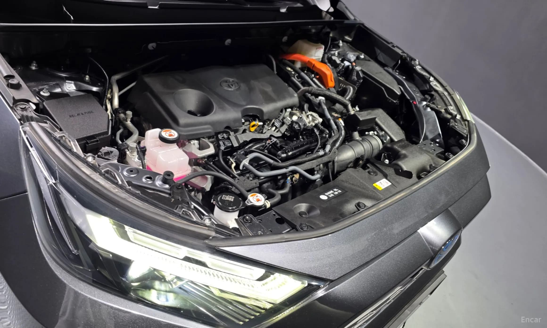 RAV4 5th Generation