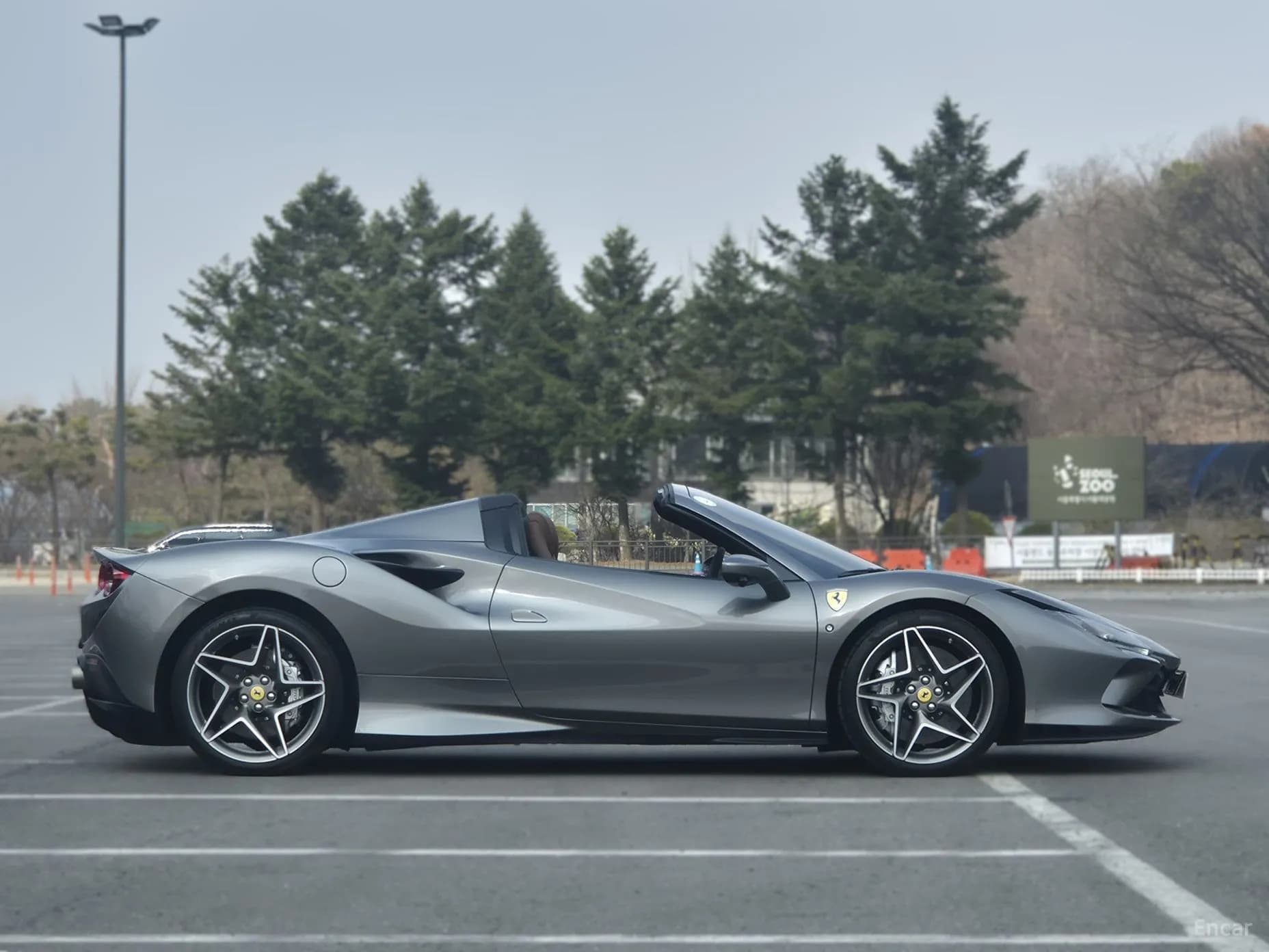 F8 Spider