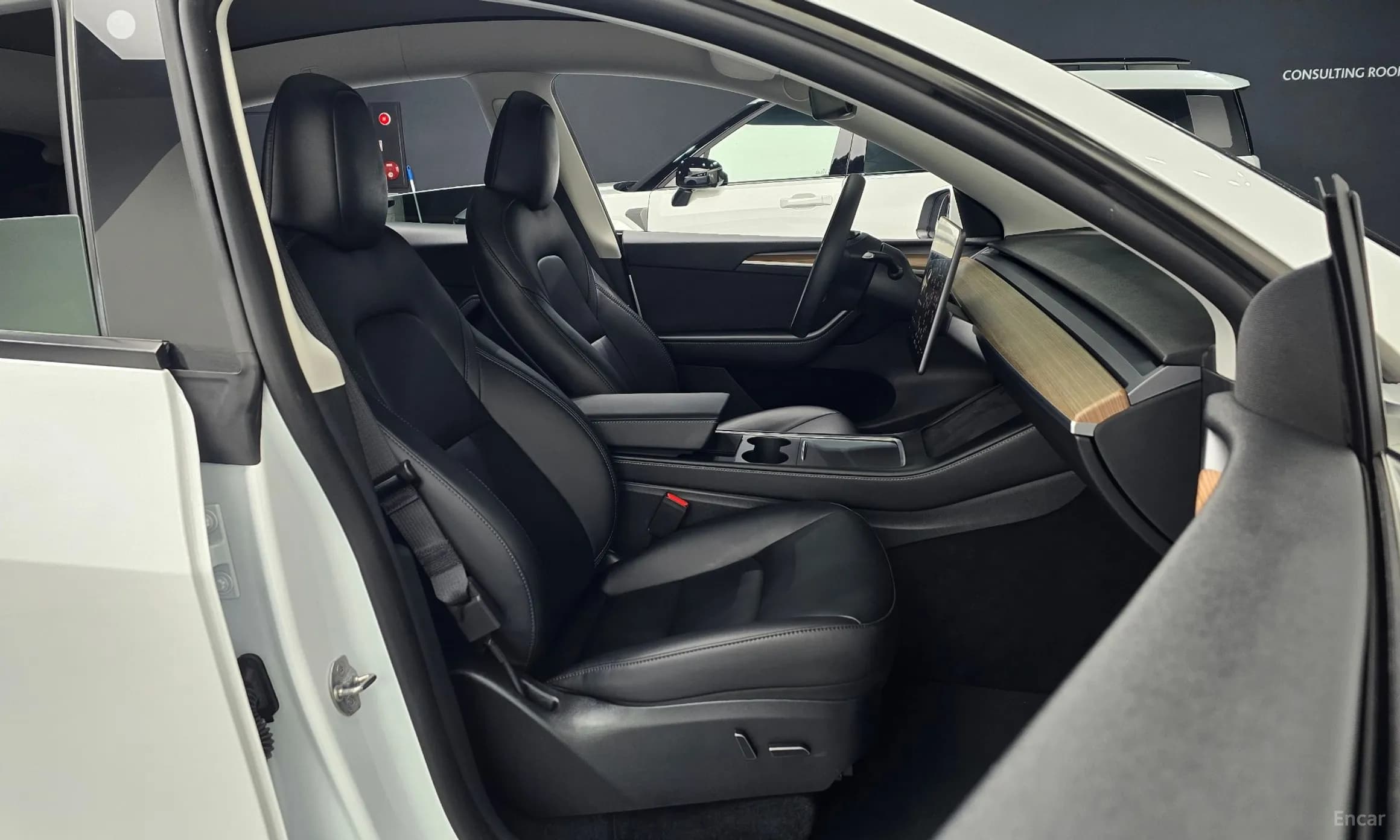 Model Y
