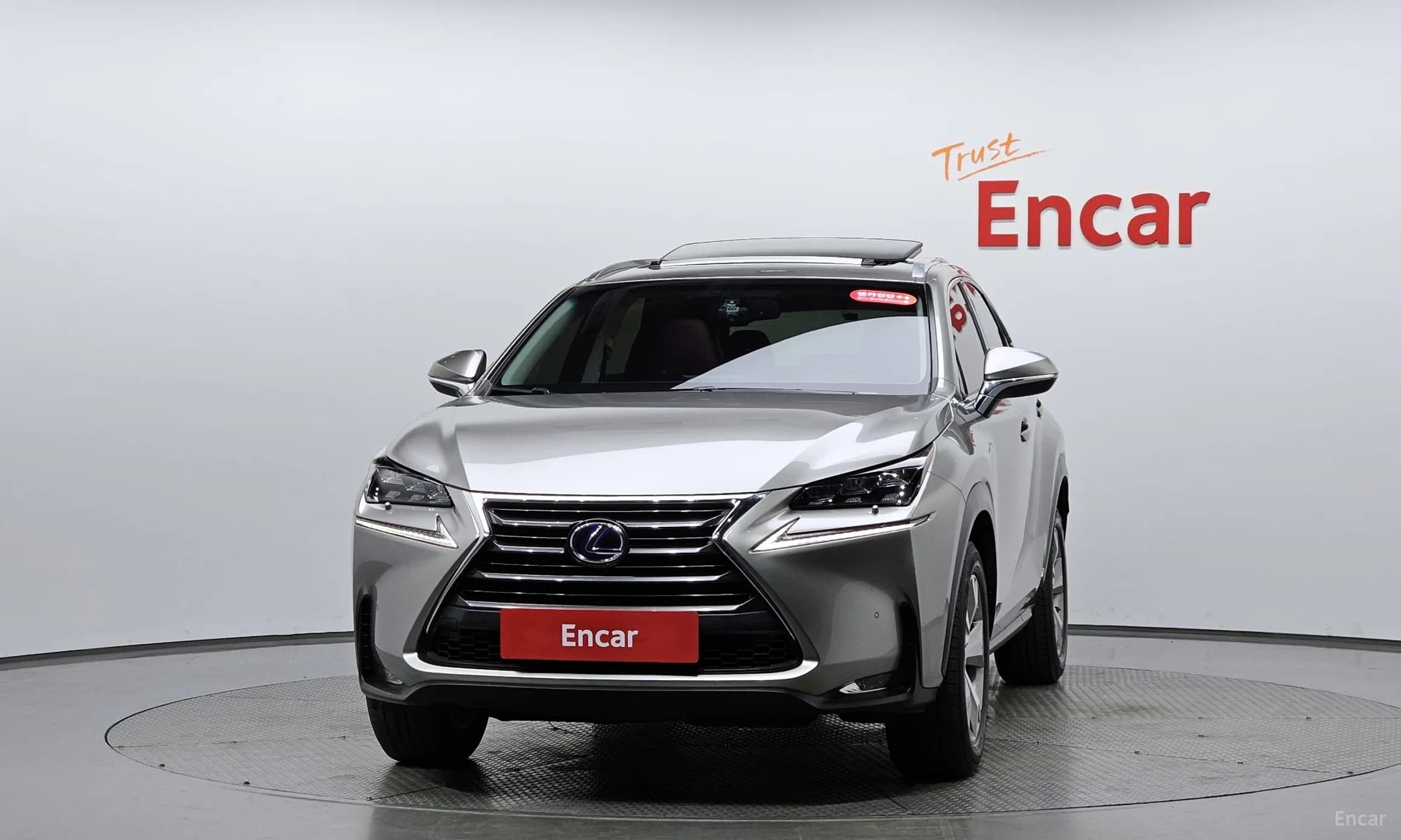NX300h