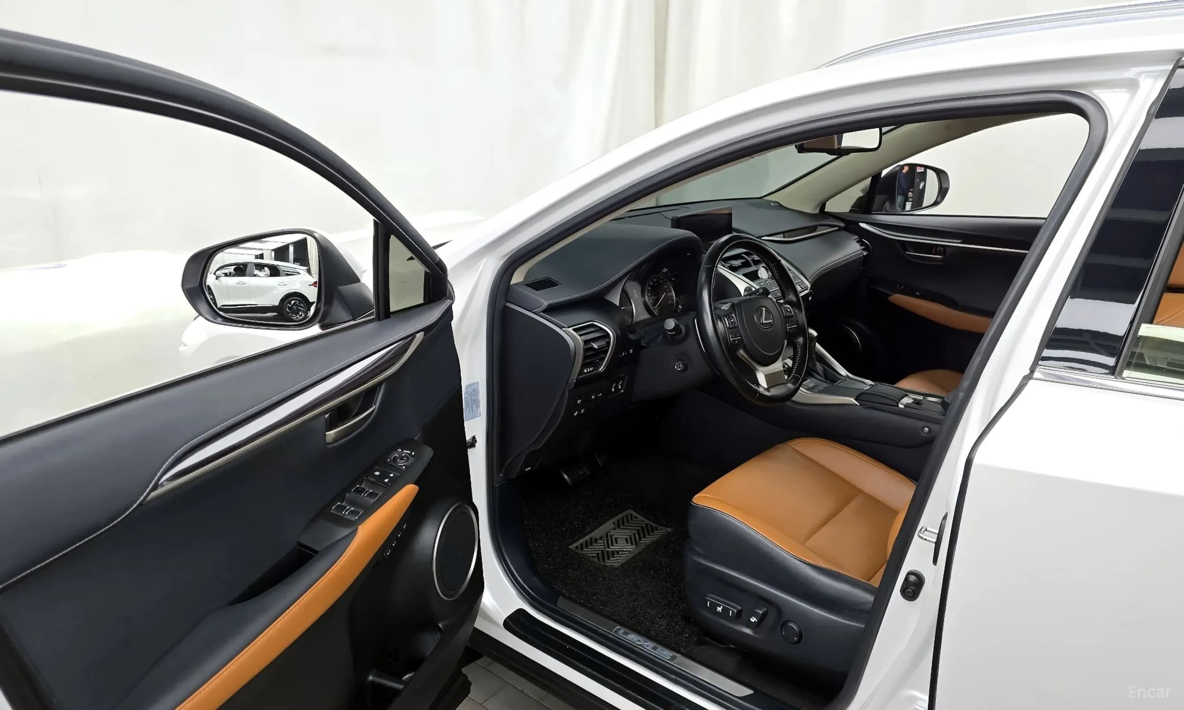 NX300h