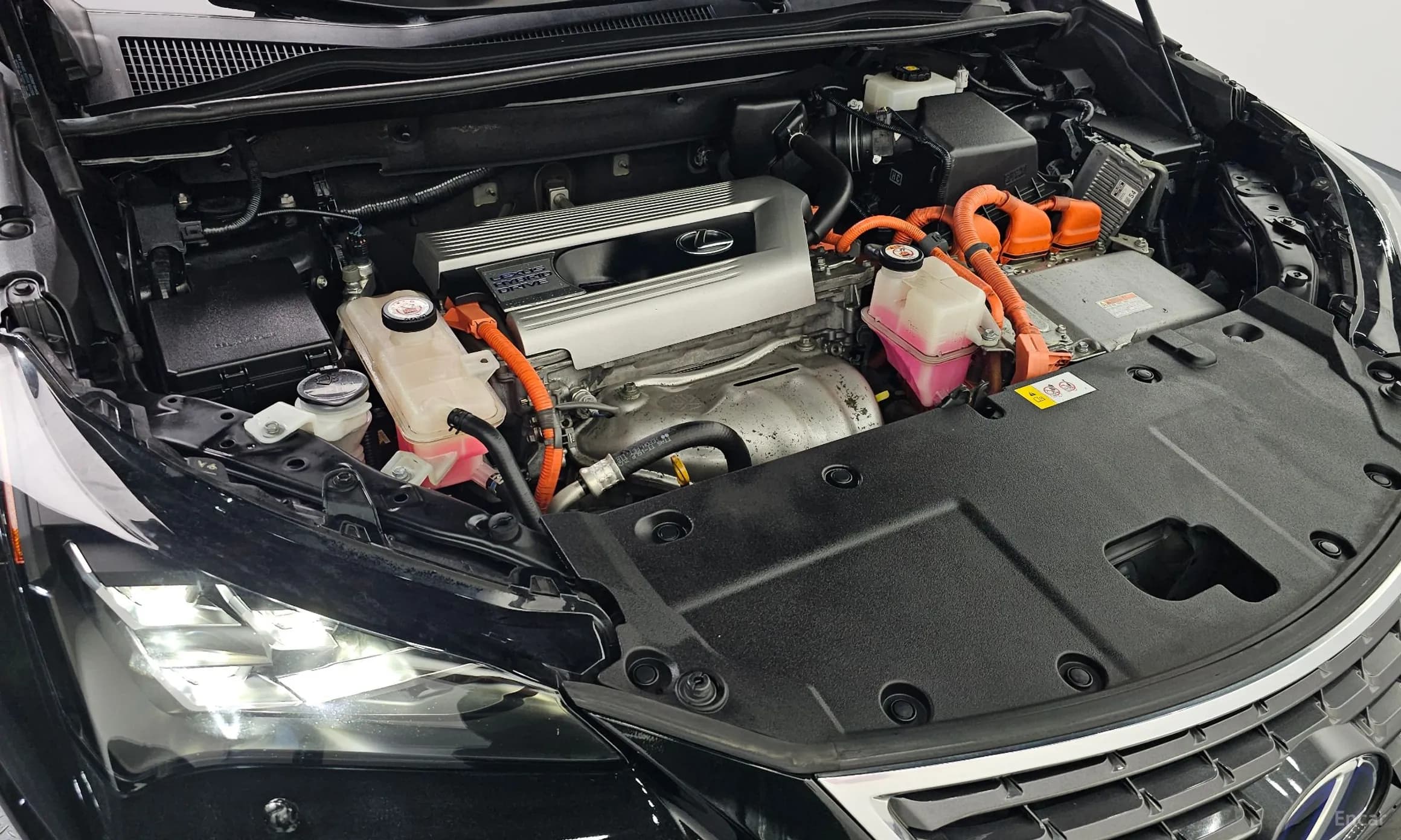 NX300h