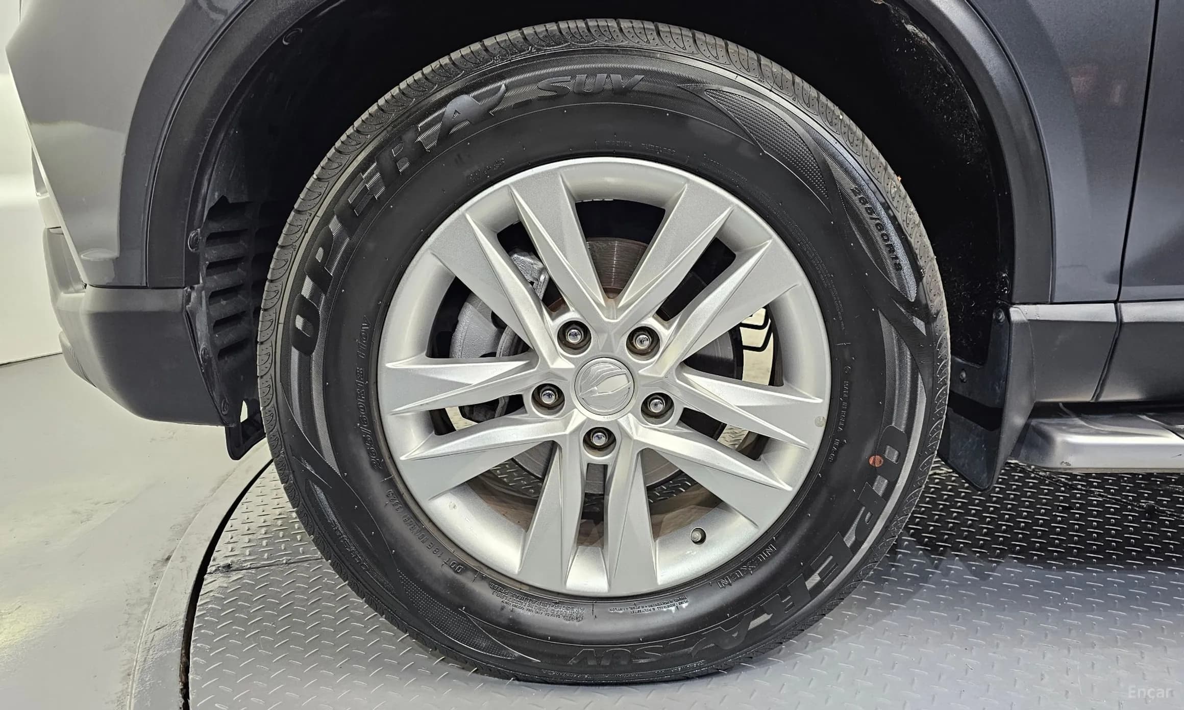 Rexton Sports