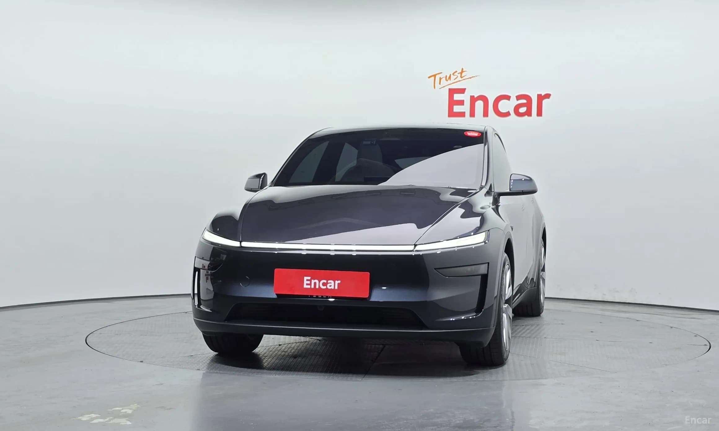 Model Y