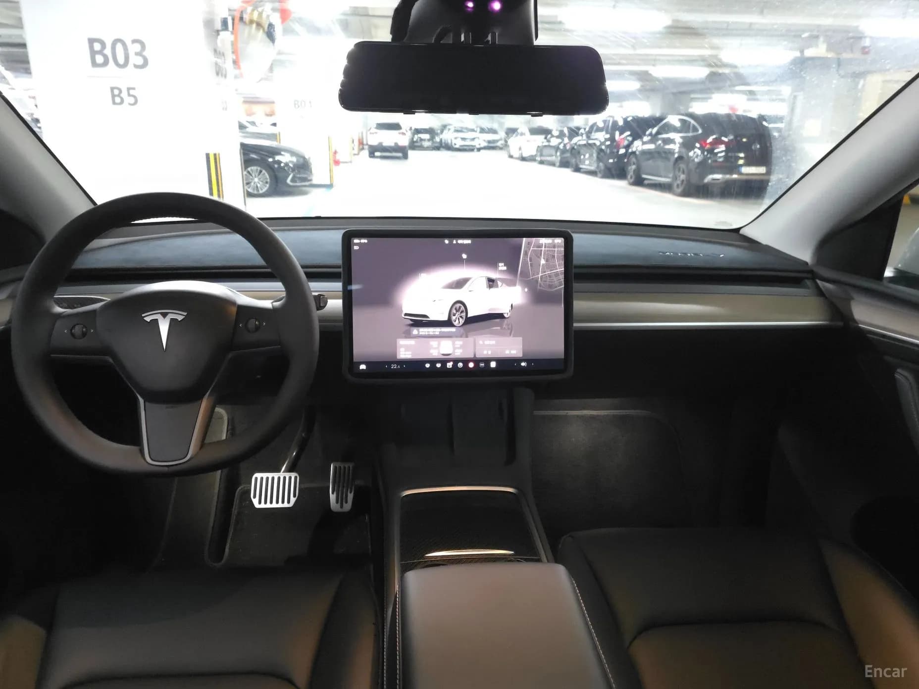 Model Y