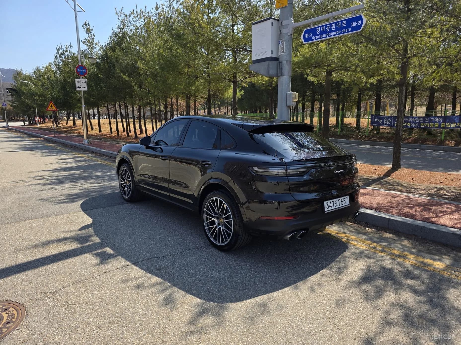 Cayenne (PO536)