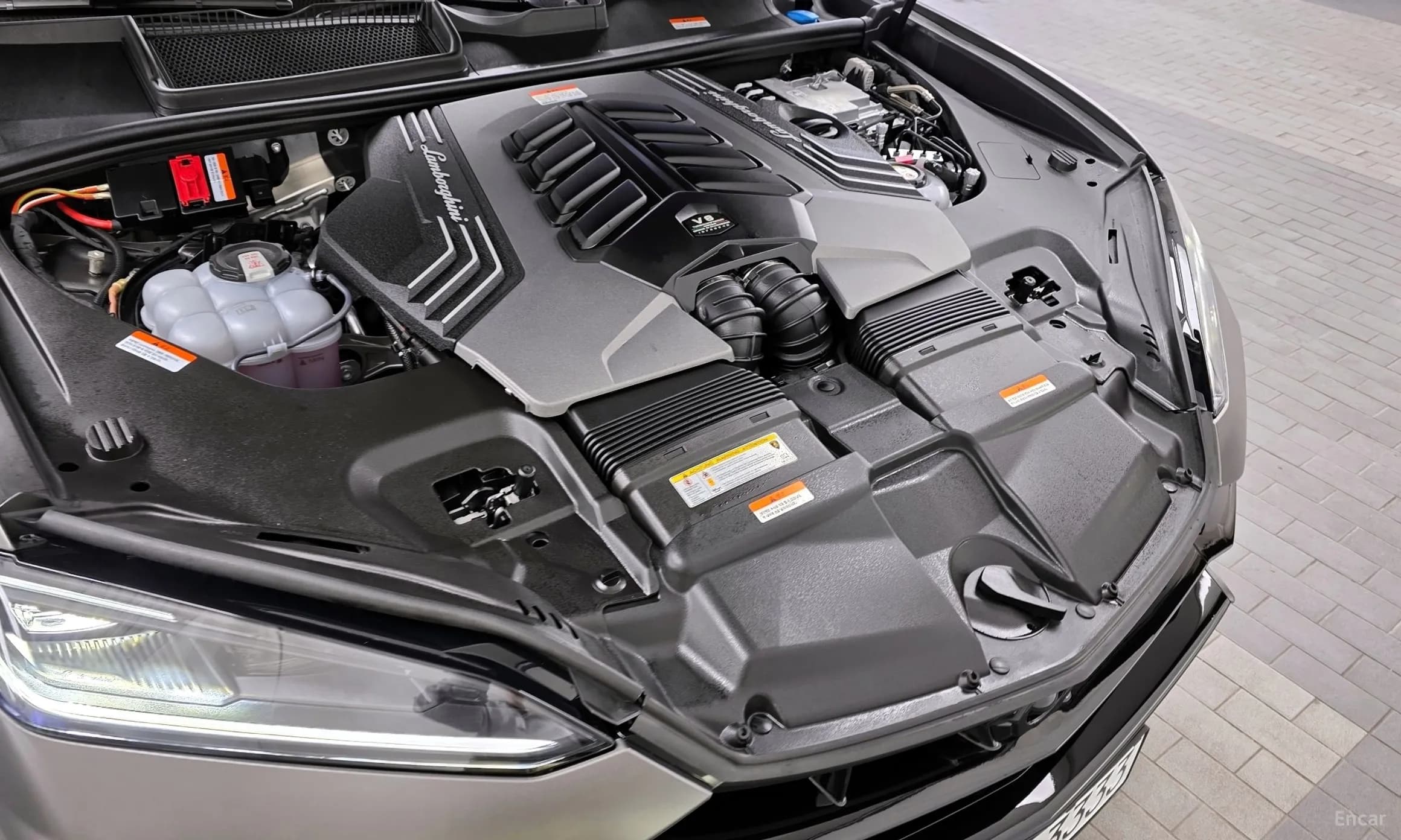 Urus