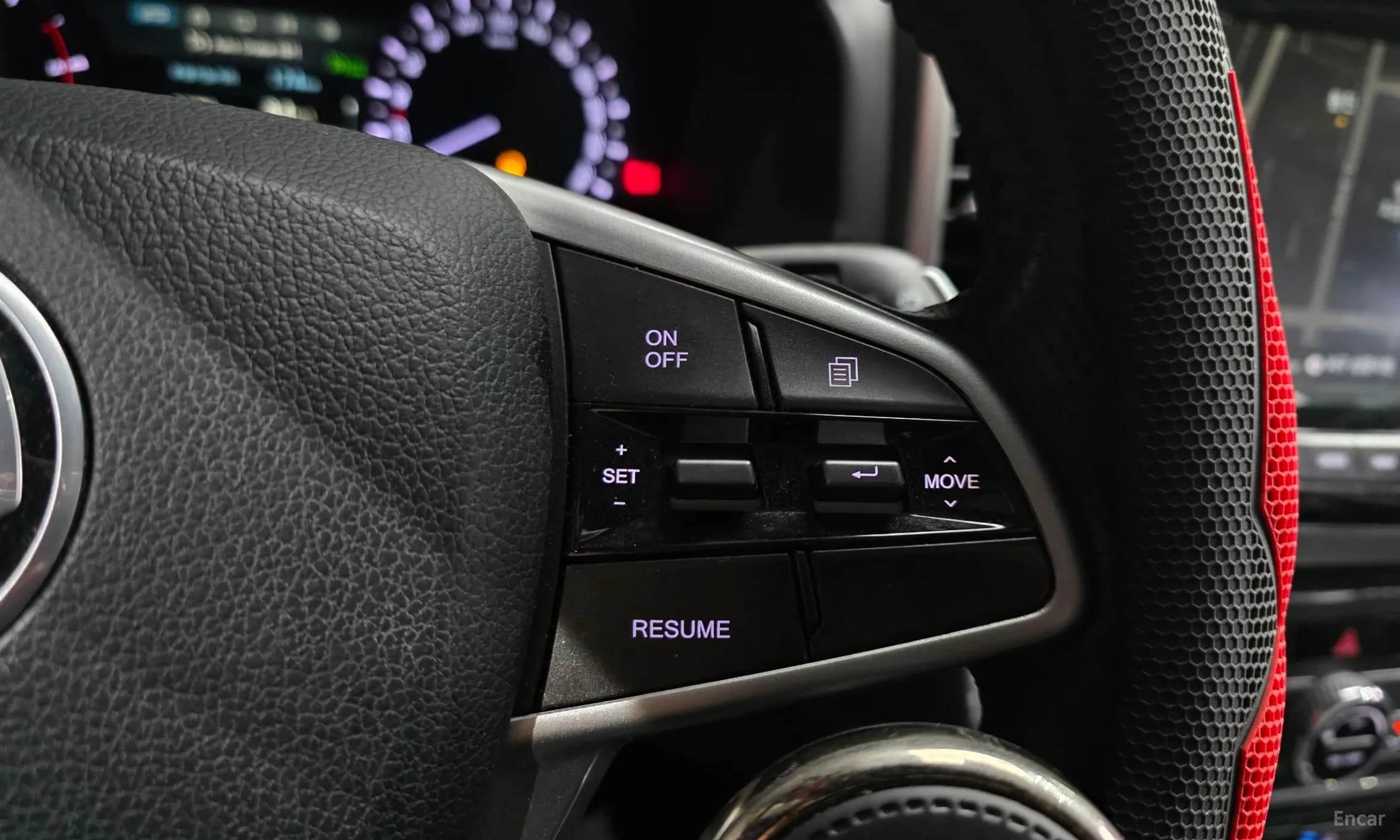 Rexton Sports