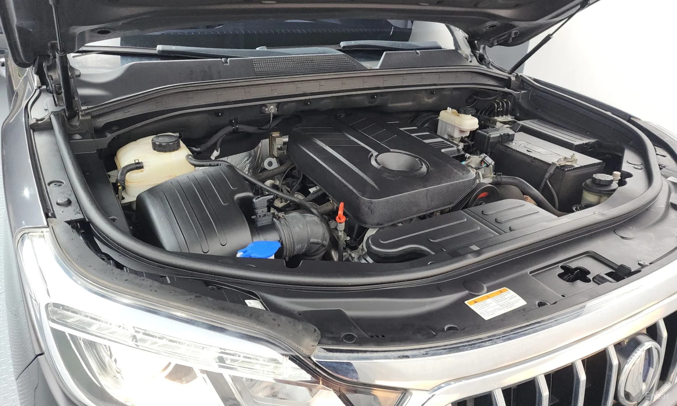 Rexton Sports Khan