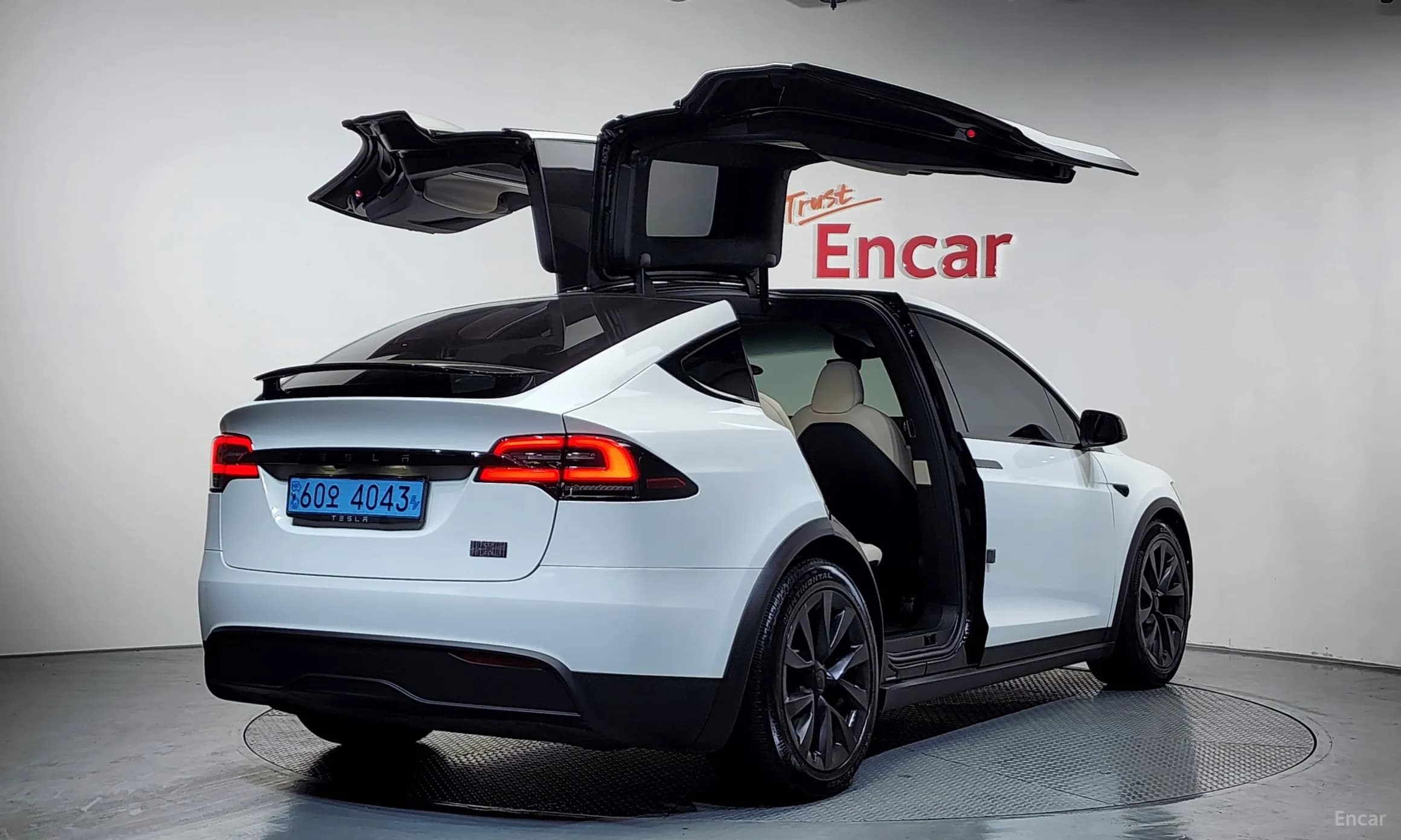 Model X