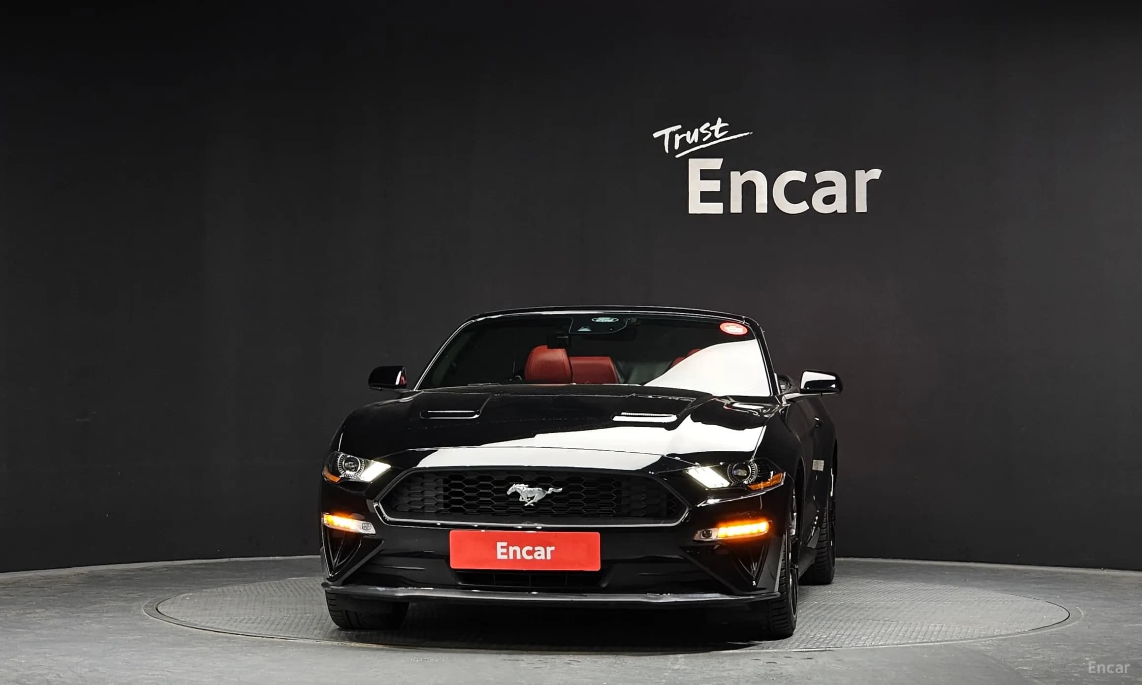 Mustang