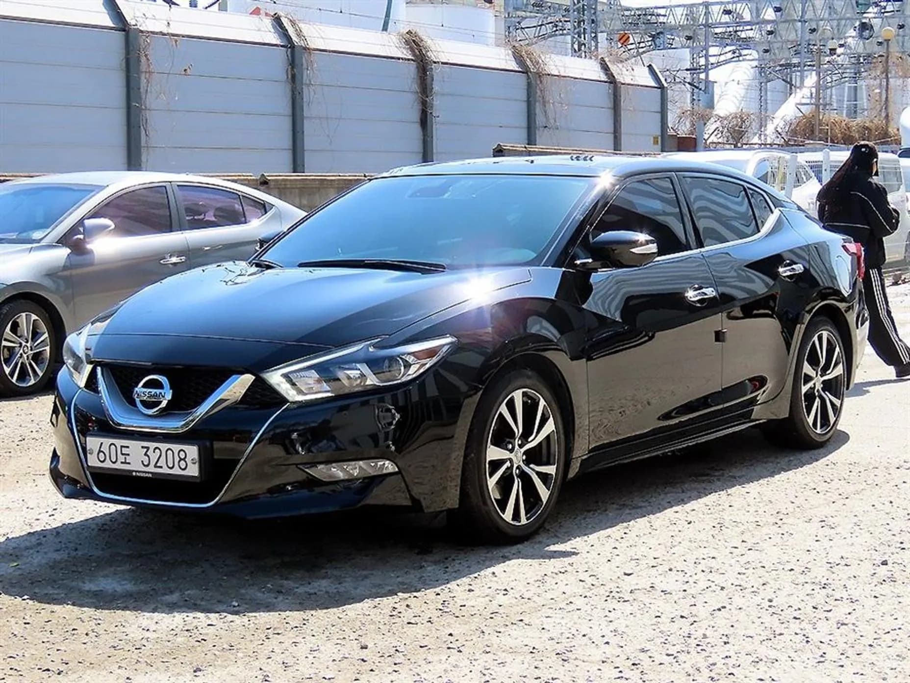 Maxima (A36)